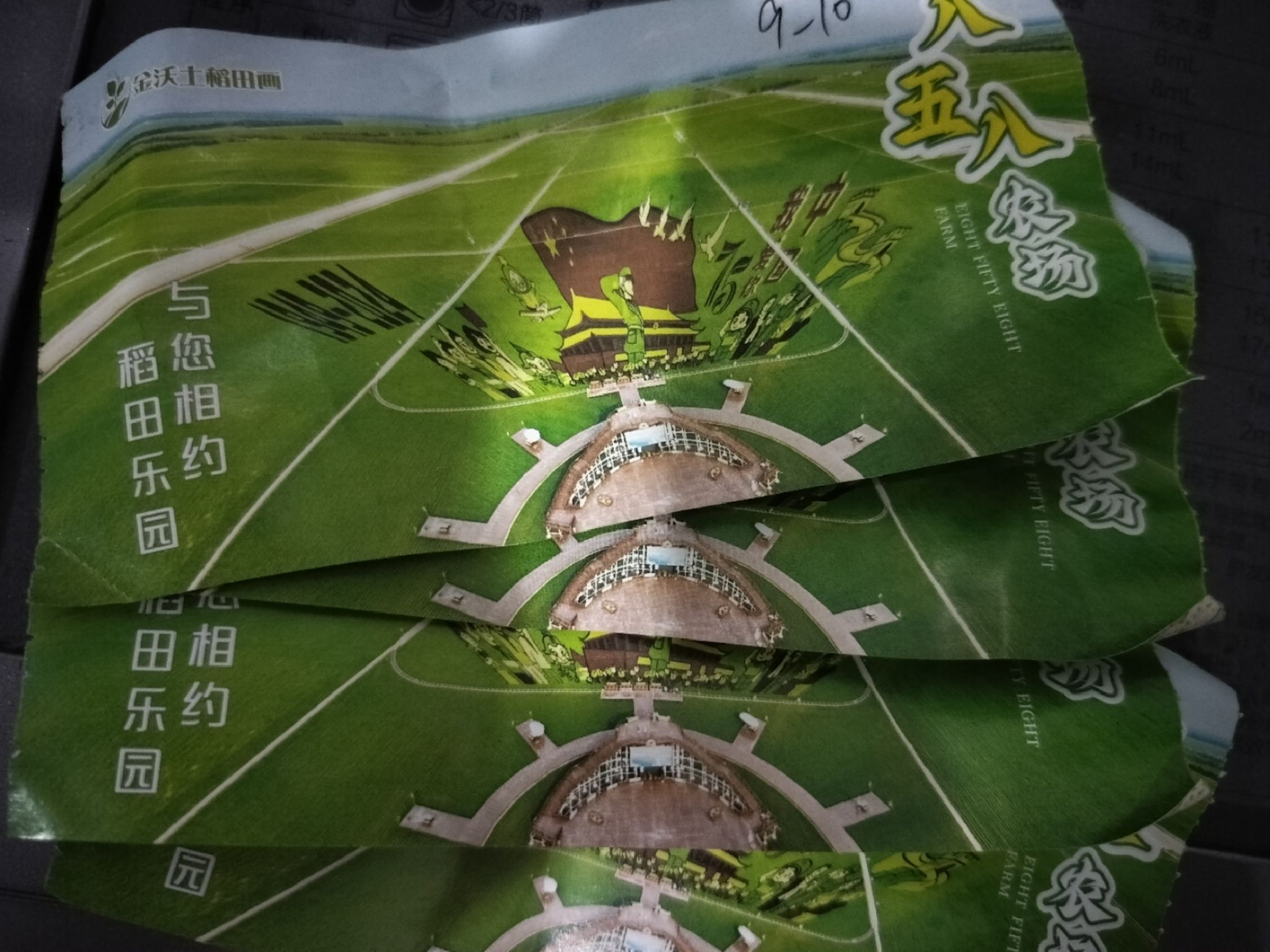 八五八农场千岛林稻田画旅行图片 1