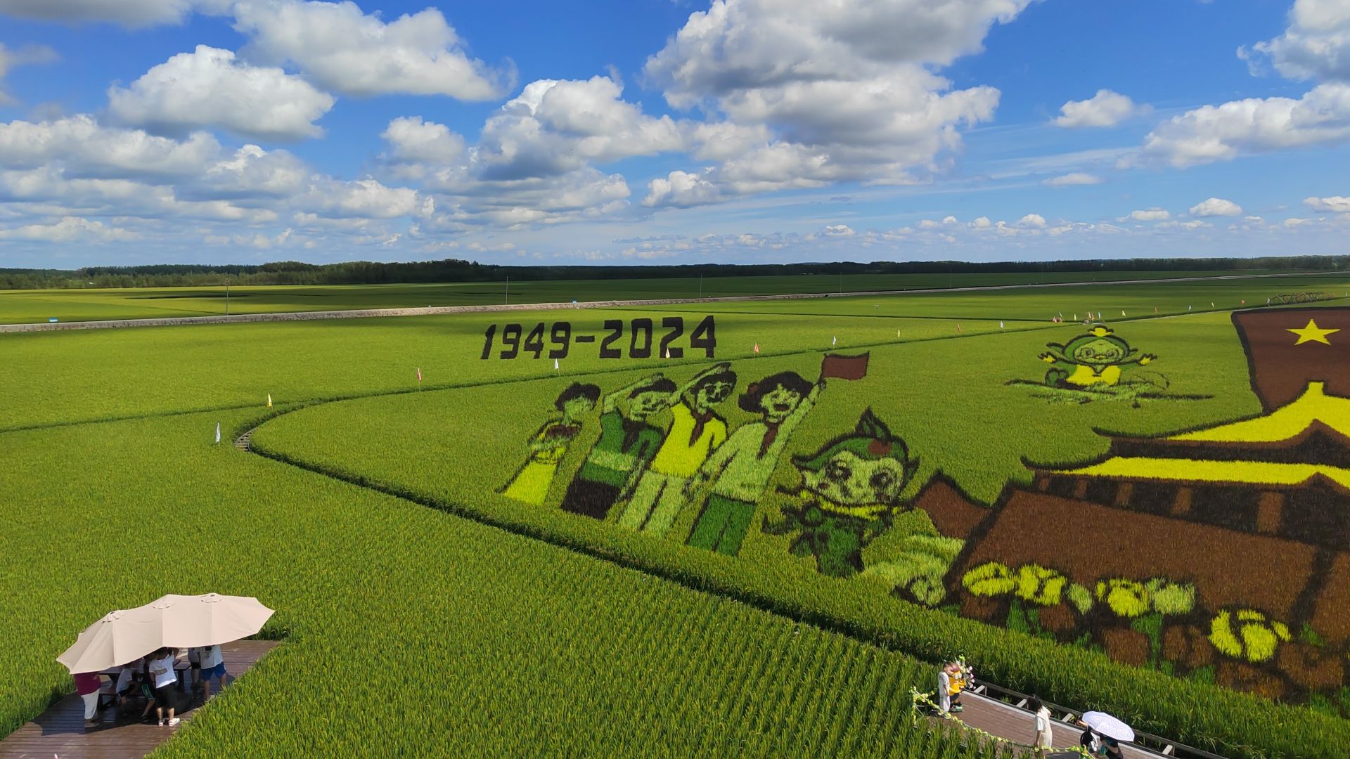 八五八农场千岛林稻田画