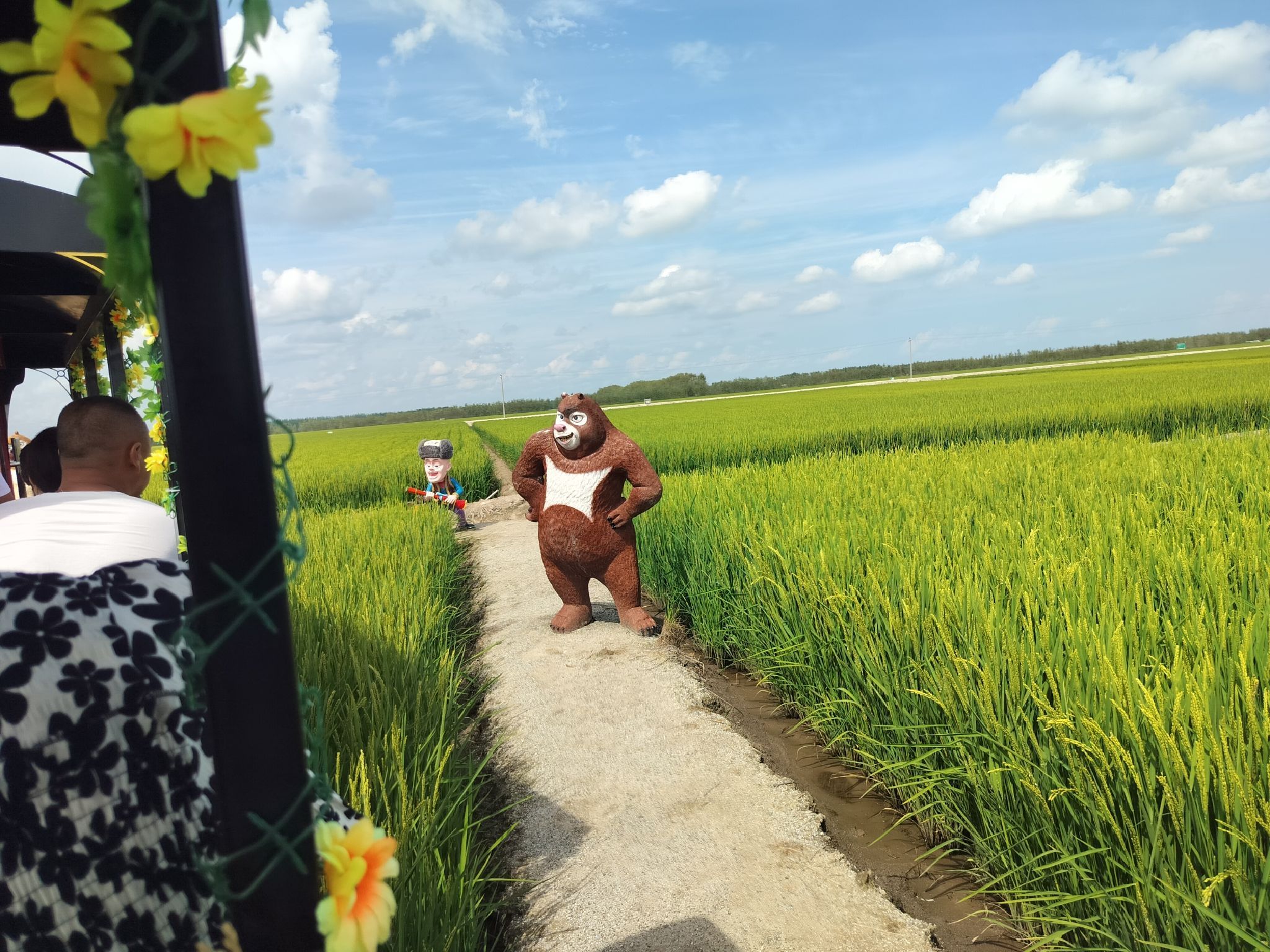 八五八农场千岛林稻田画旅行图片 3