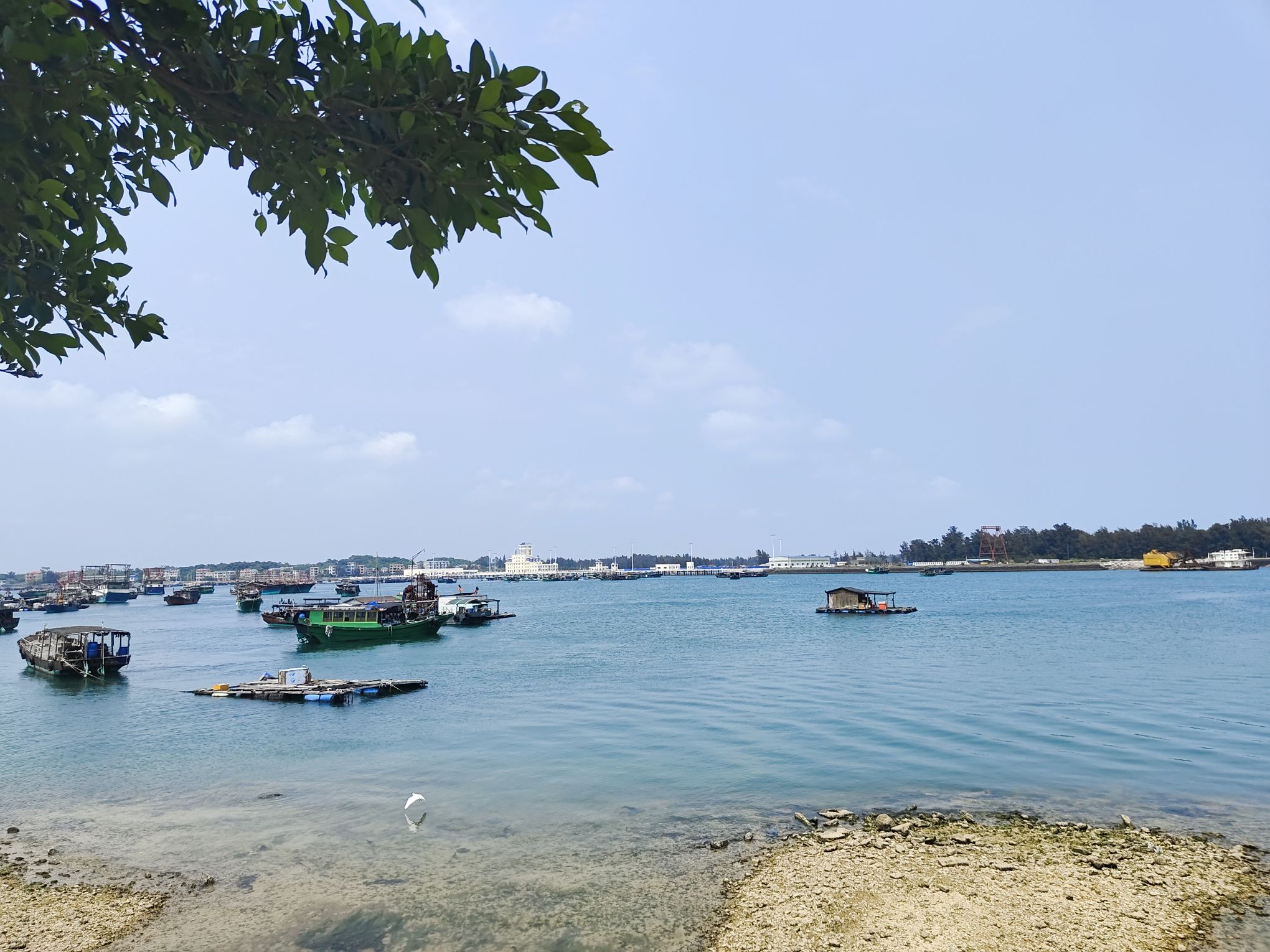 企沙灯塔旅行图片 3