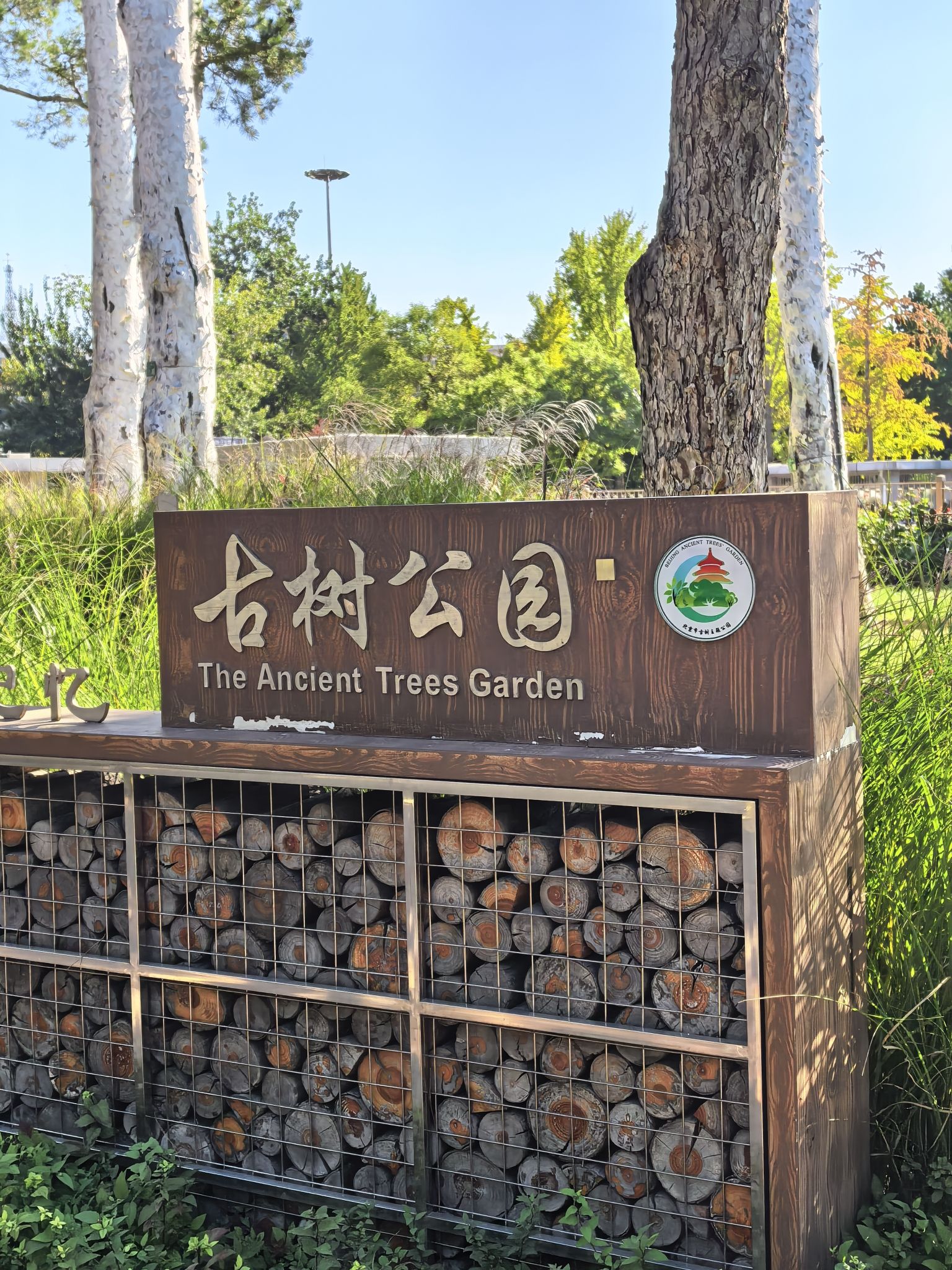 古树公园