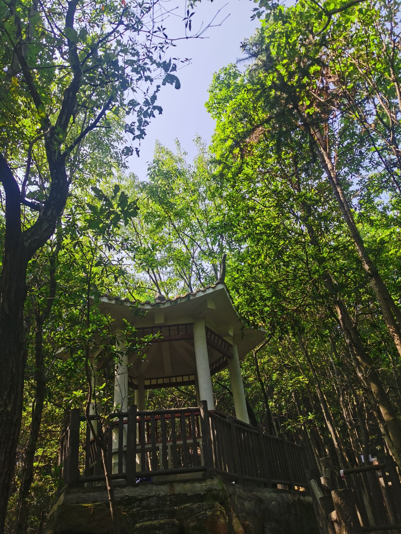 慈母山步道旅行图片 3
