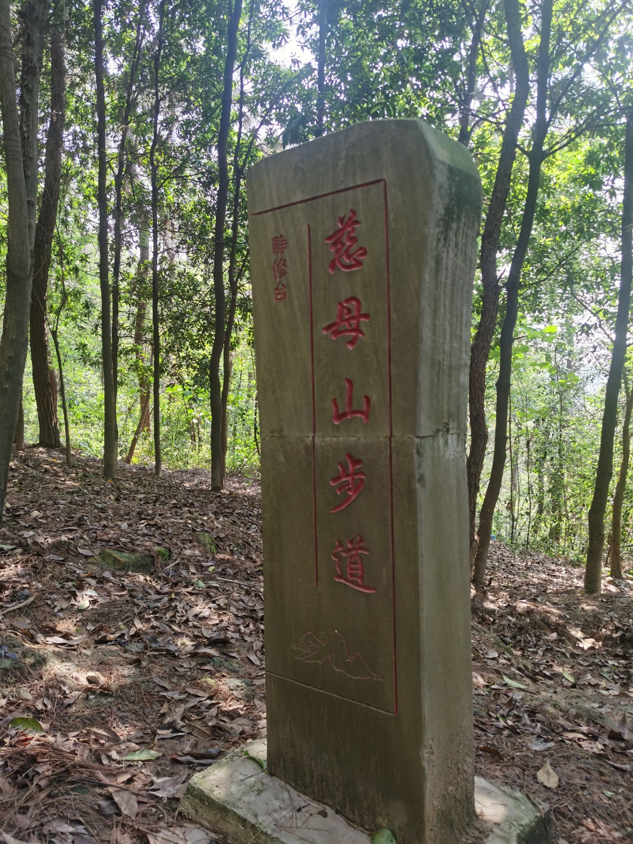 慈母山步道旅行图片 1