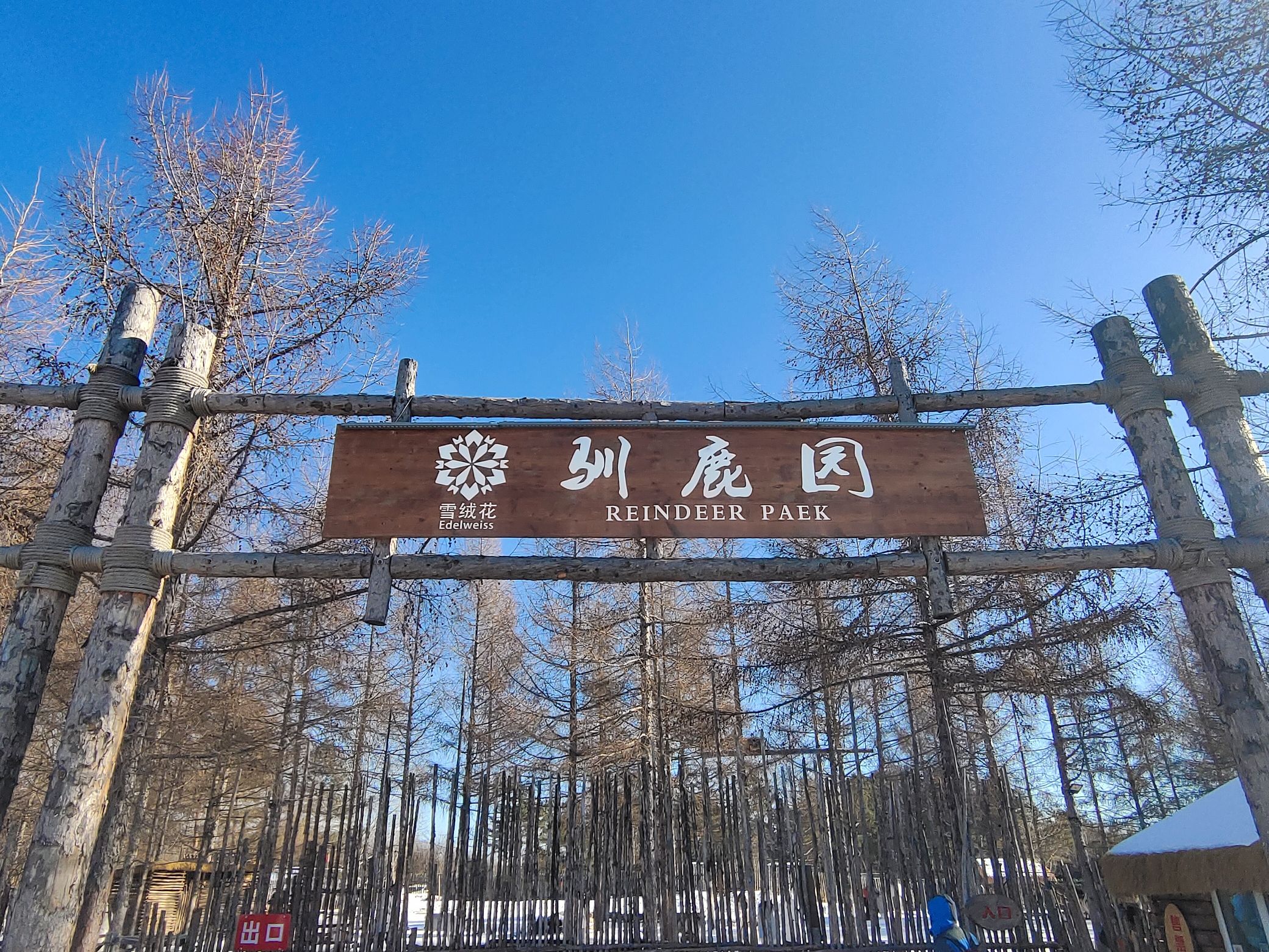 长白山雪绒花驯鹿园旅行图片 3