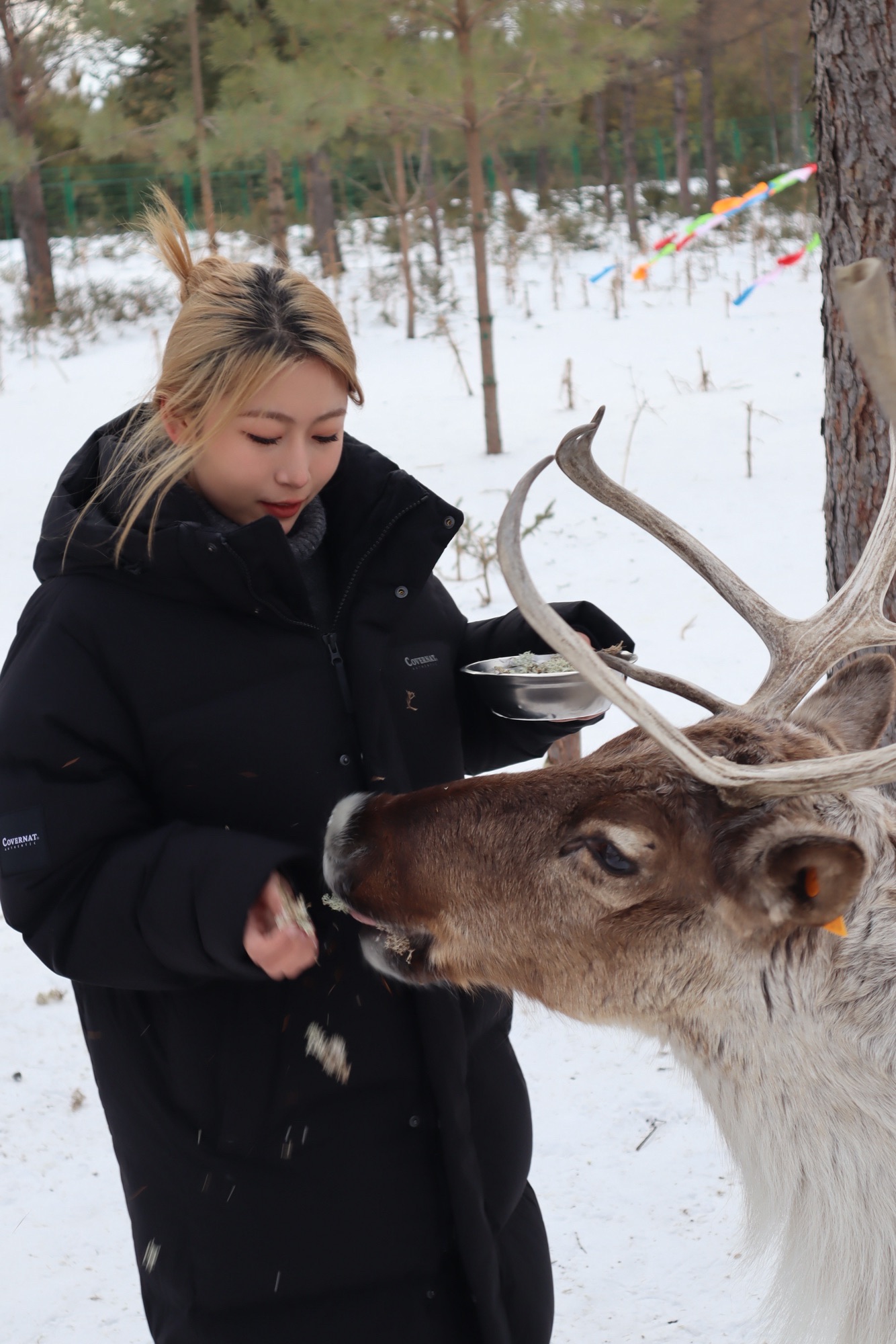 长白山雪绒花驯鹿园旅行图片 3