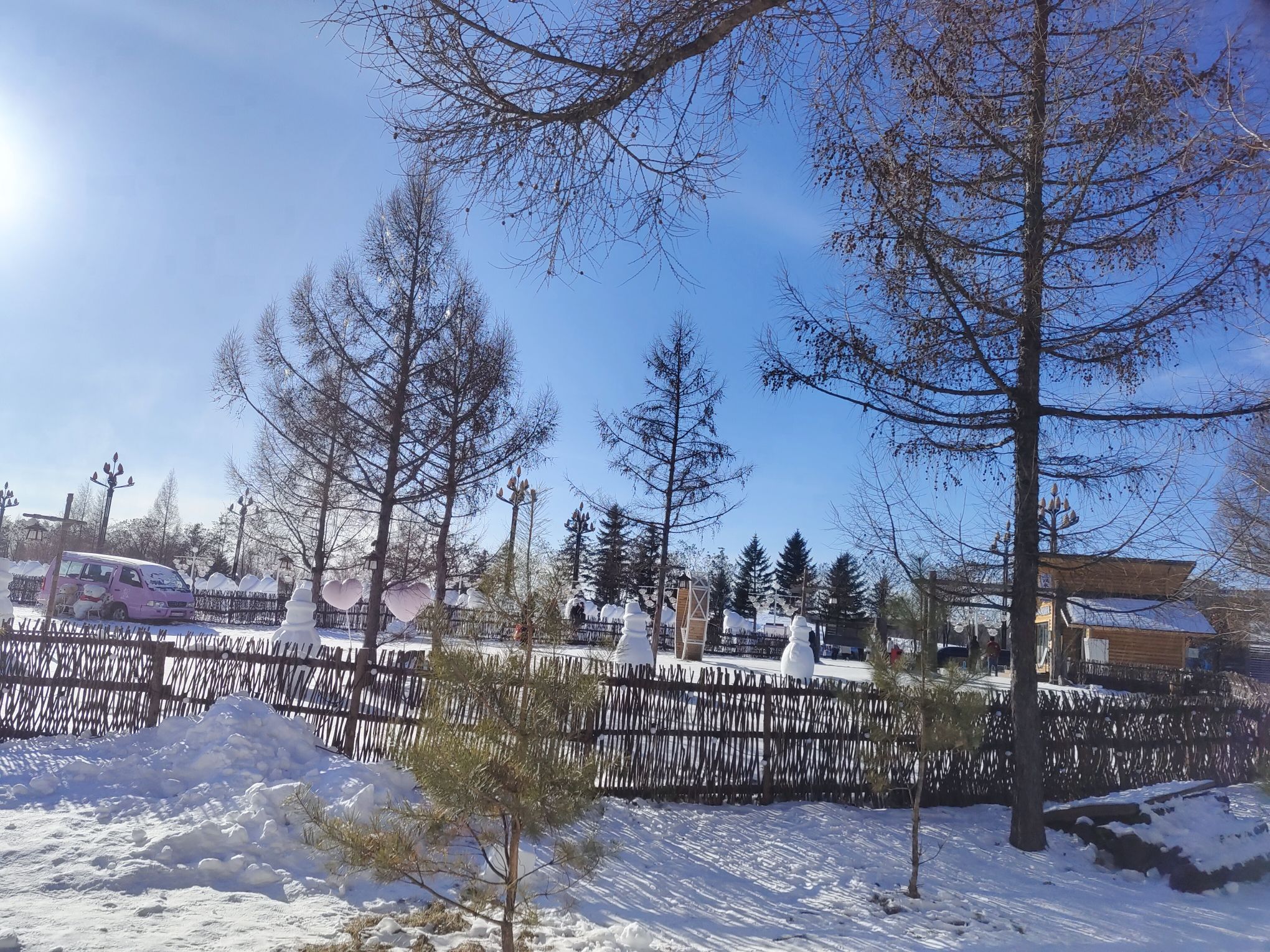 长白山雪绒花驯鹿园旅行图片 1