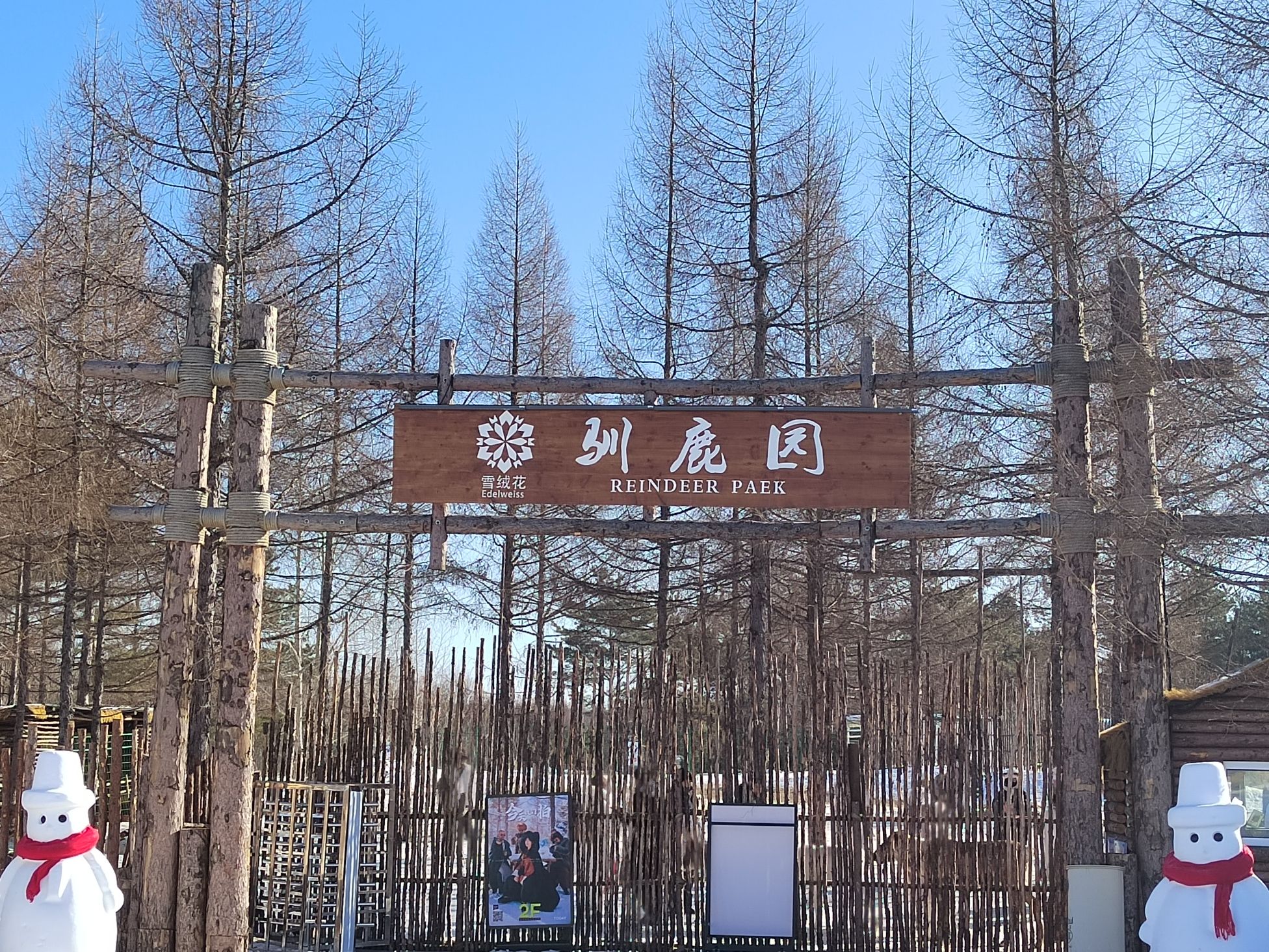 长白山雪绒花驯鹿园旅行图片 2