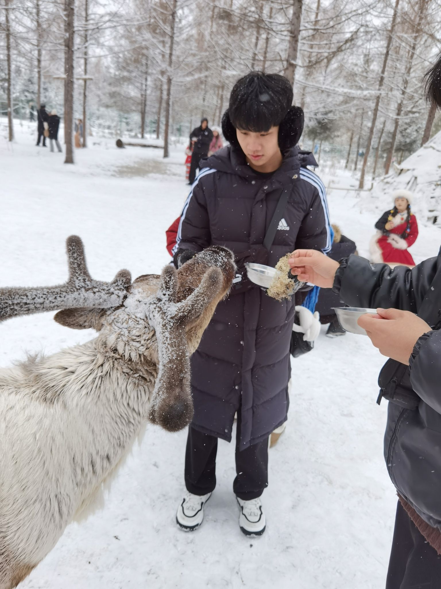 长白山雪绒花驯鹿园旅行图片 1