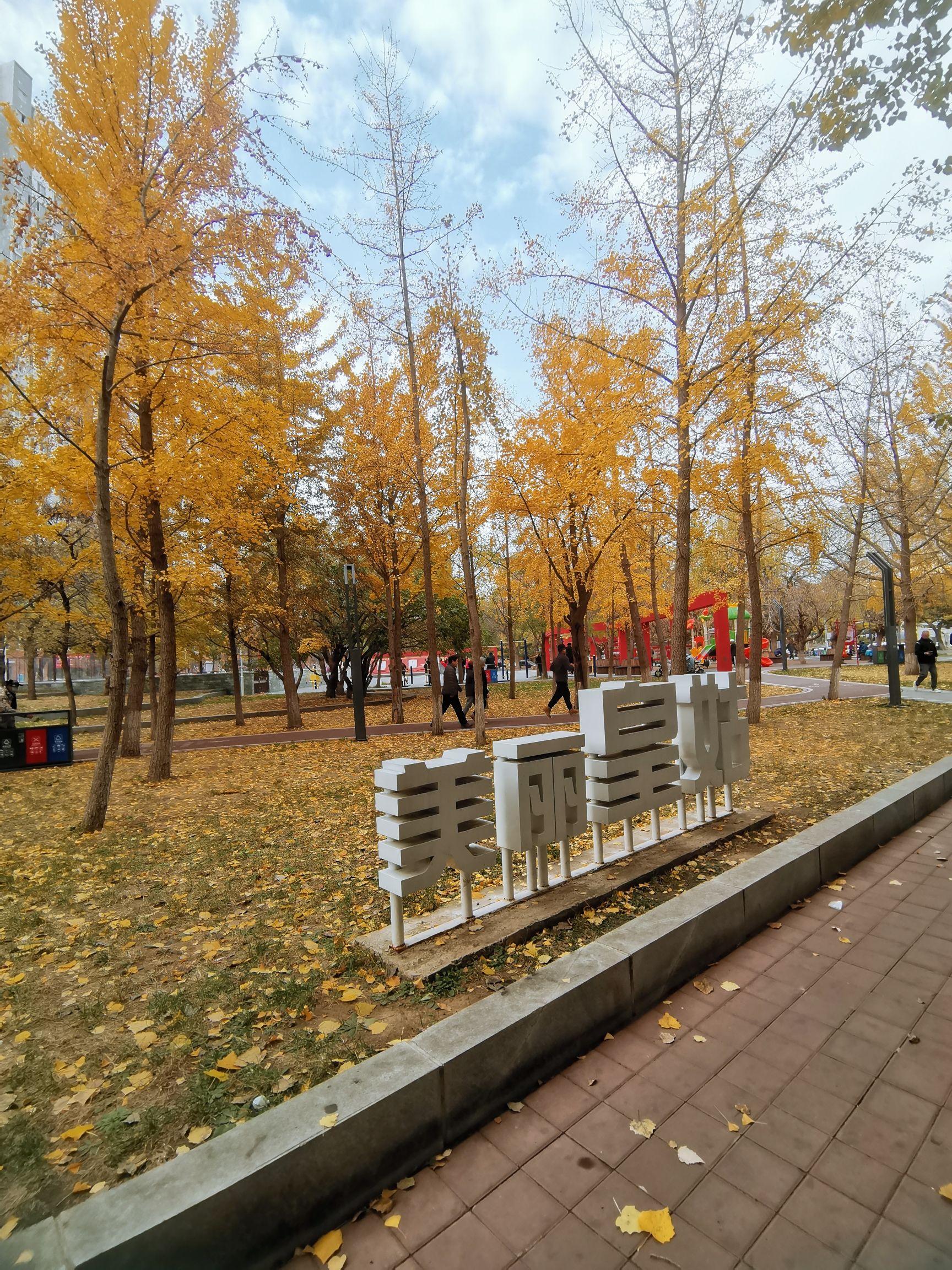 华山公园旅行图片 2