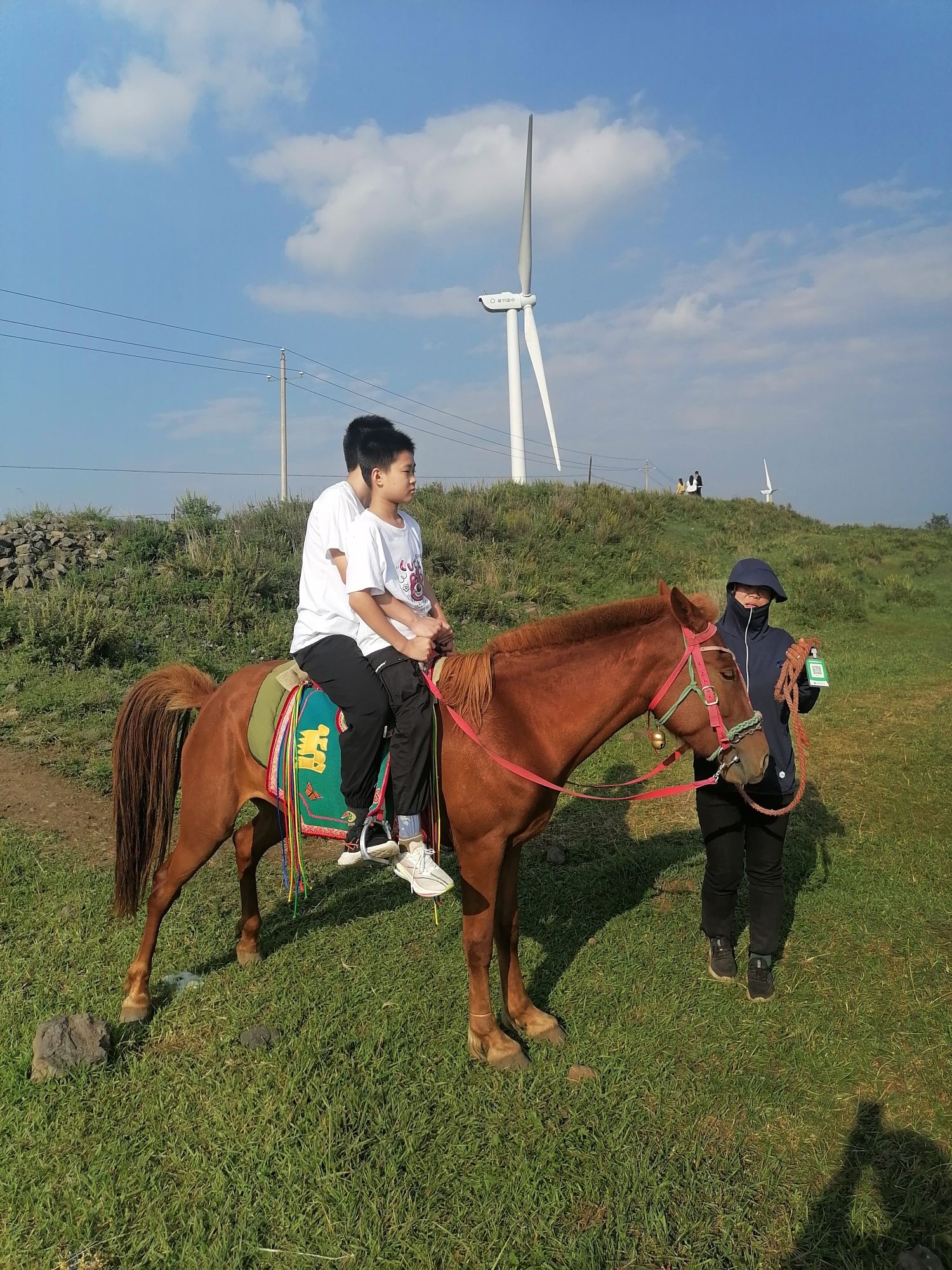 云栖漫野花海旅行图片 3
