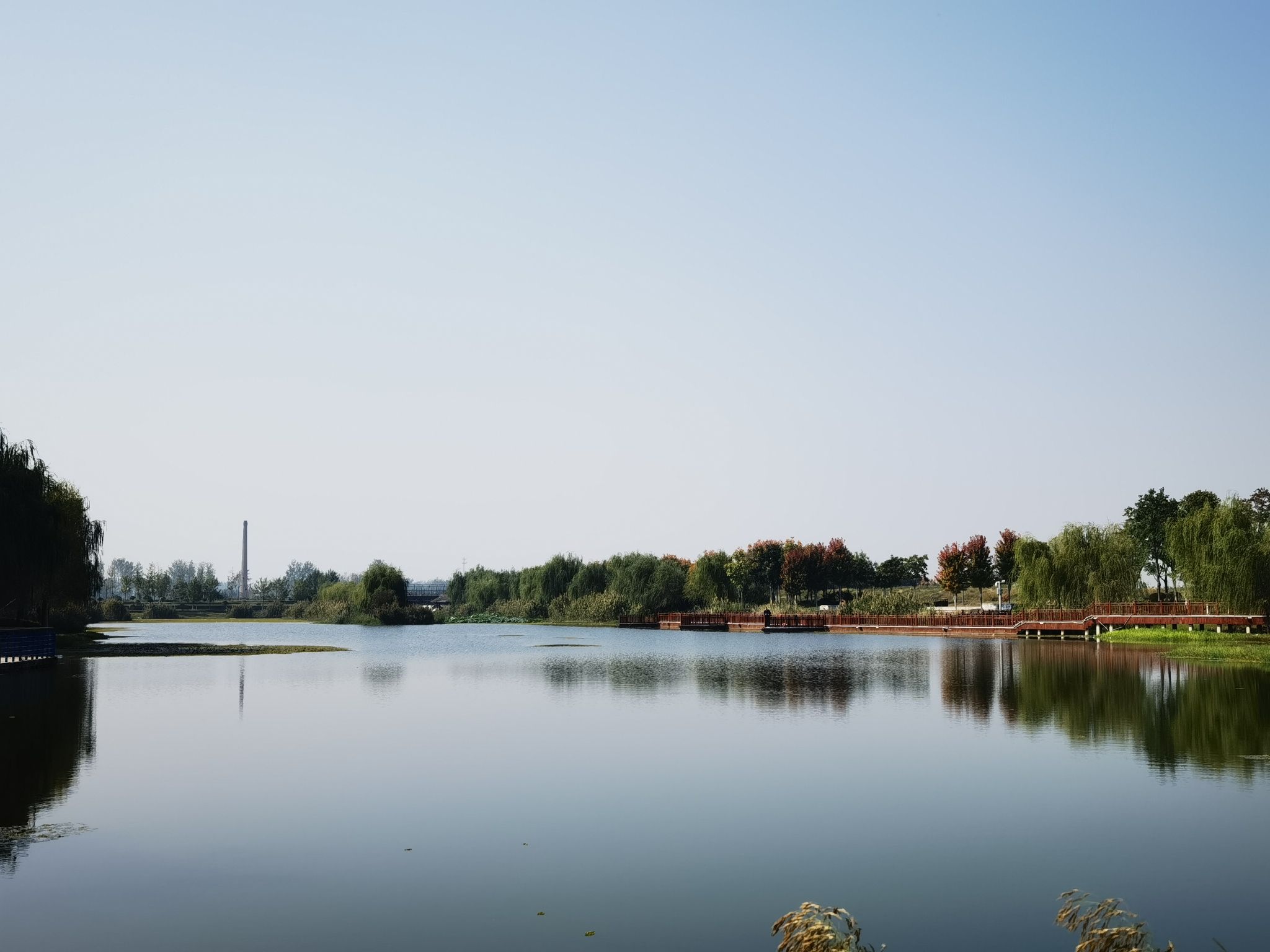 桃花堤湿地公园旅行图片 2