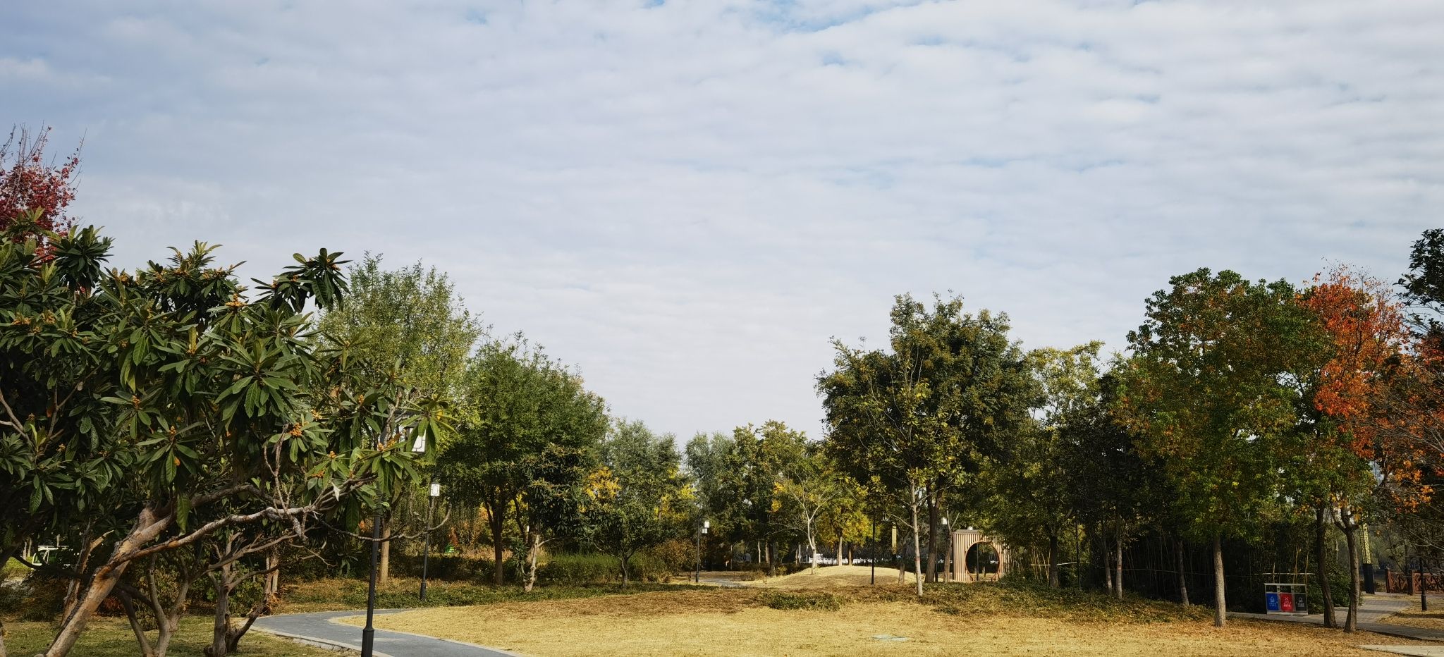 桃花堤湿地公园旅行图片 3