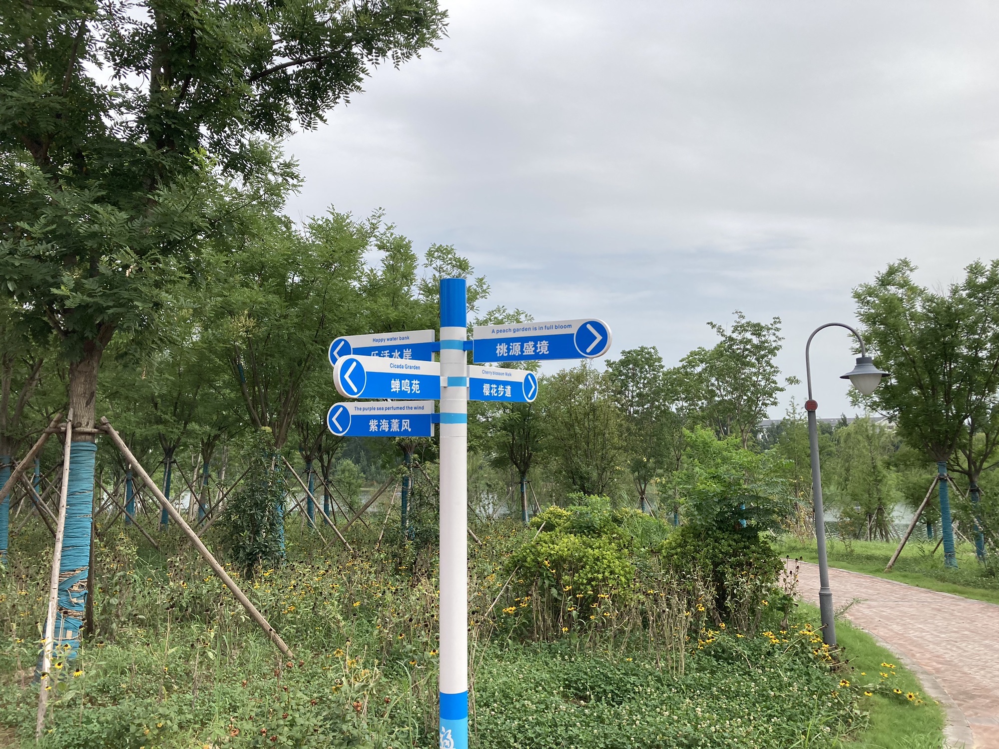 林幽蝉鸣旅行图片 2