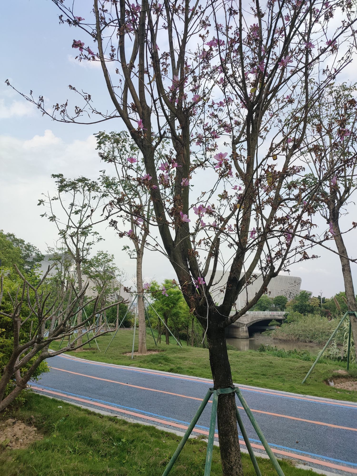 梁厝河公园旅行图片 3