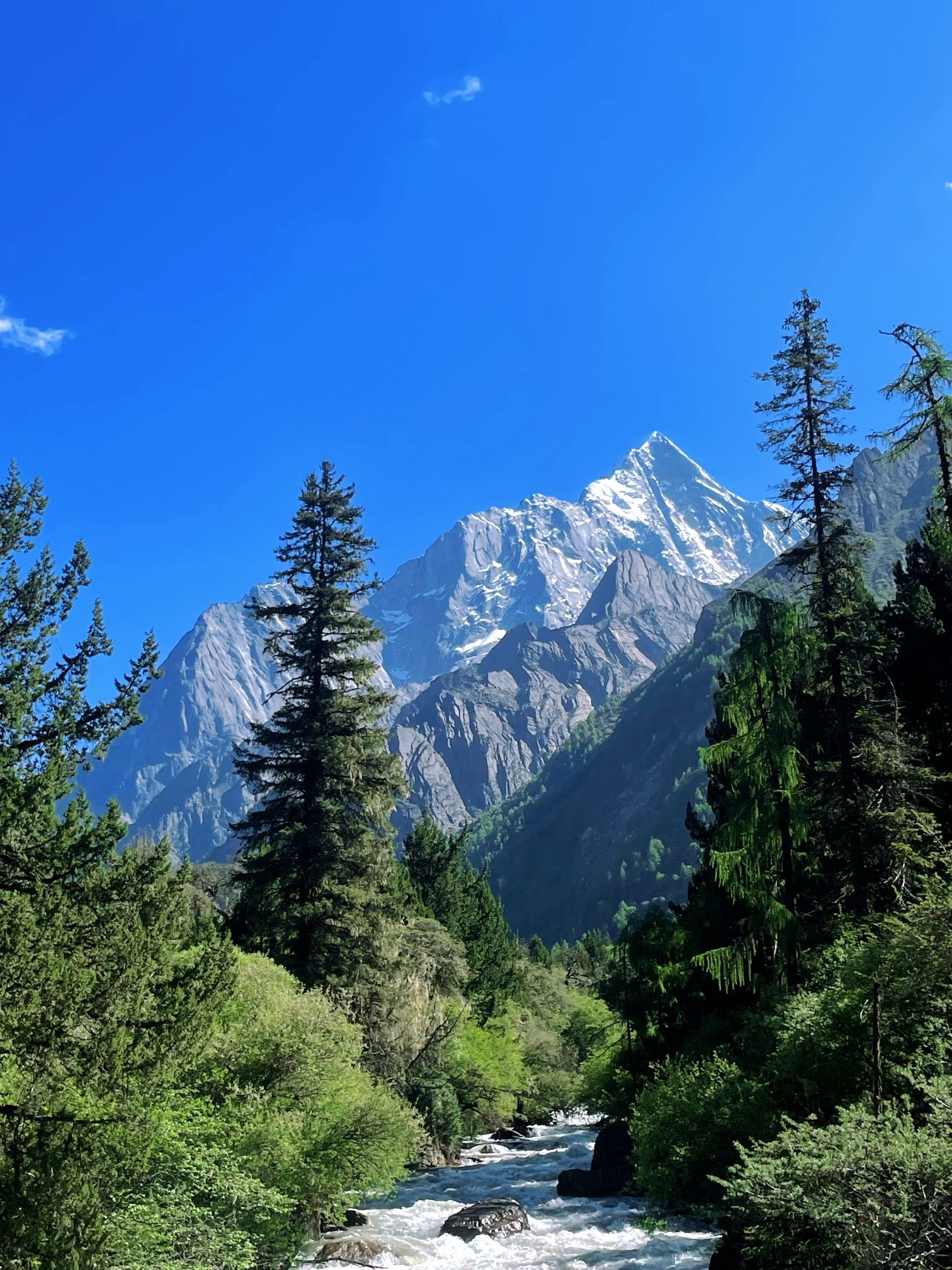 望湖水上乐园旅行图片 2