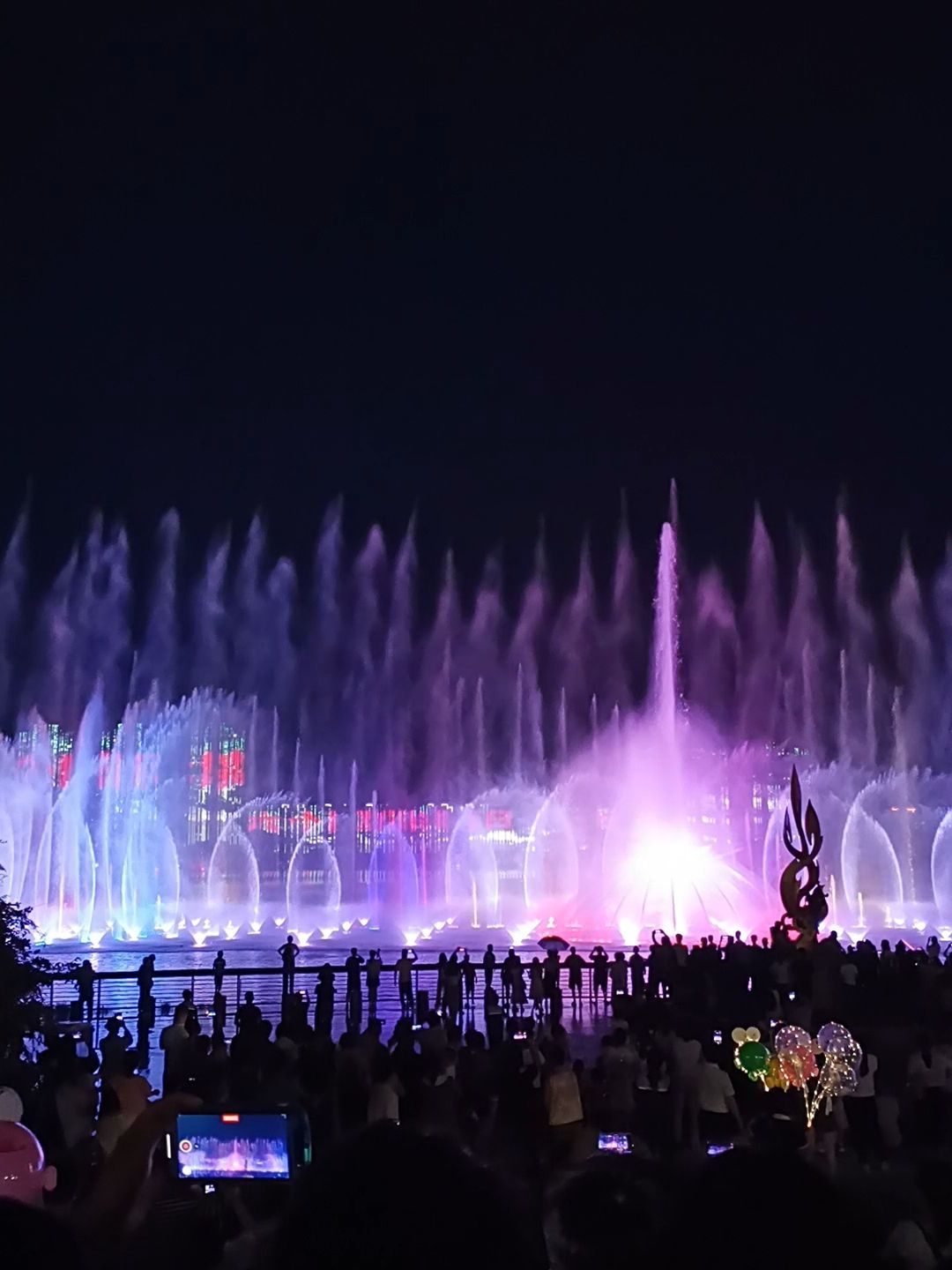 成武文亭湖音乐喷泉旅行图片 3