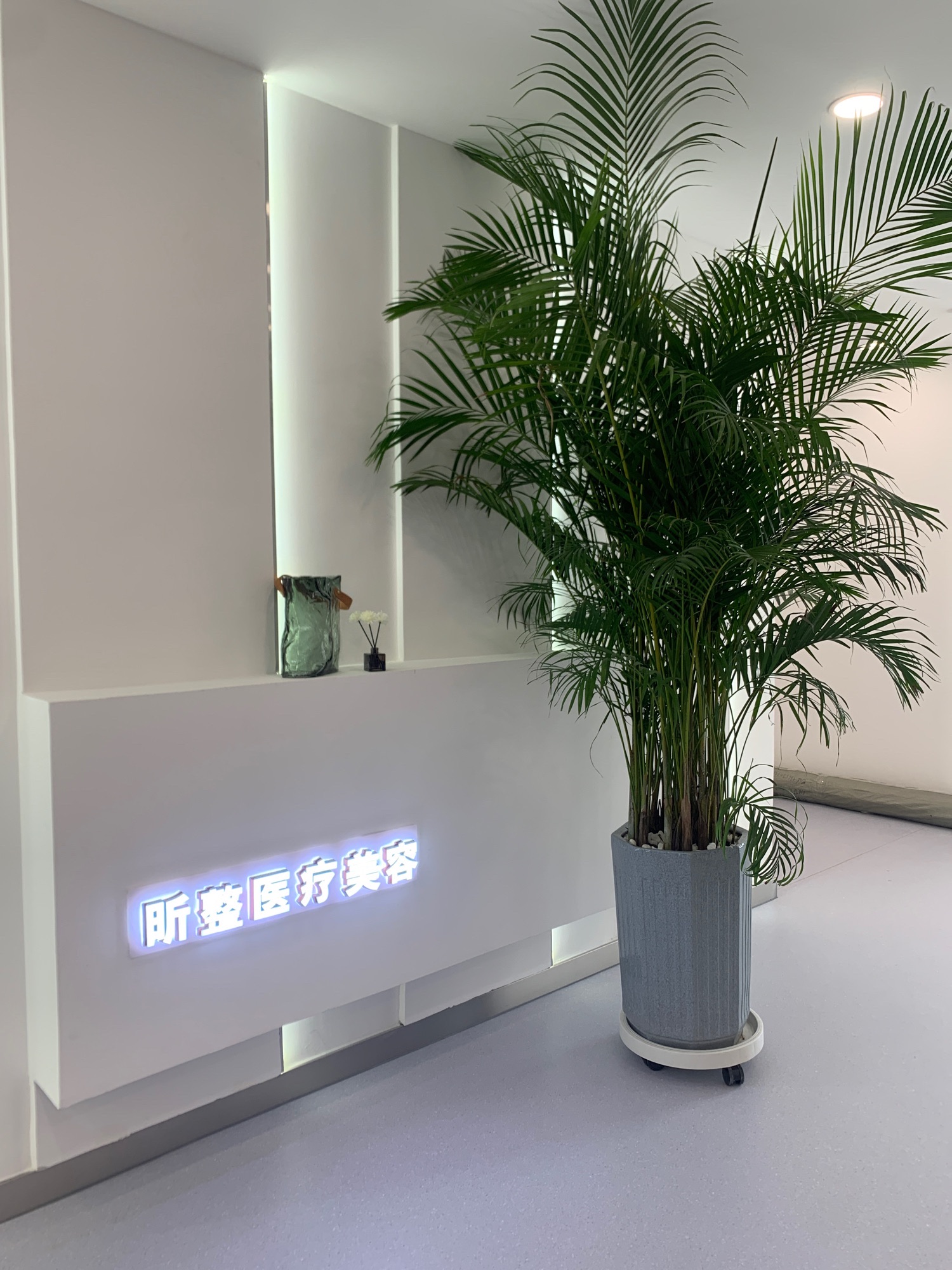 昕整医美