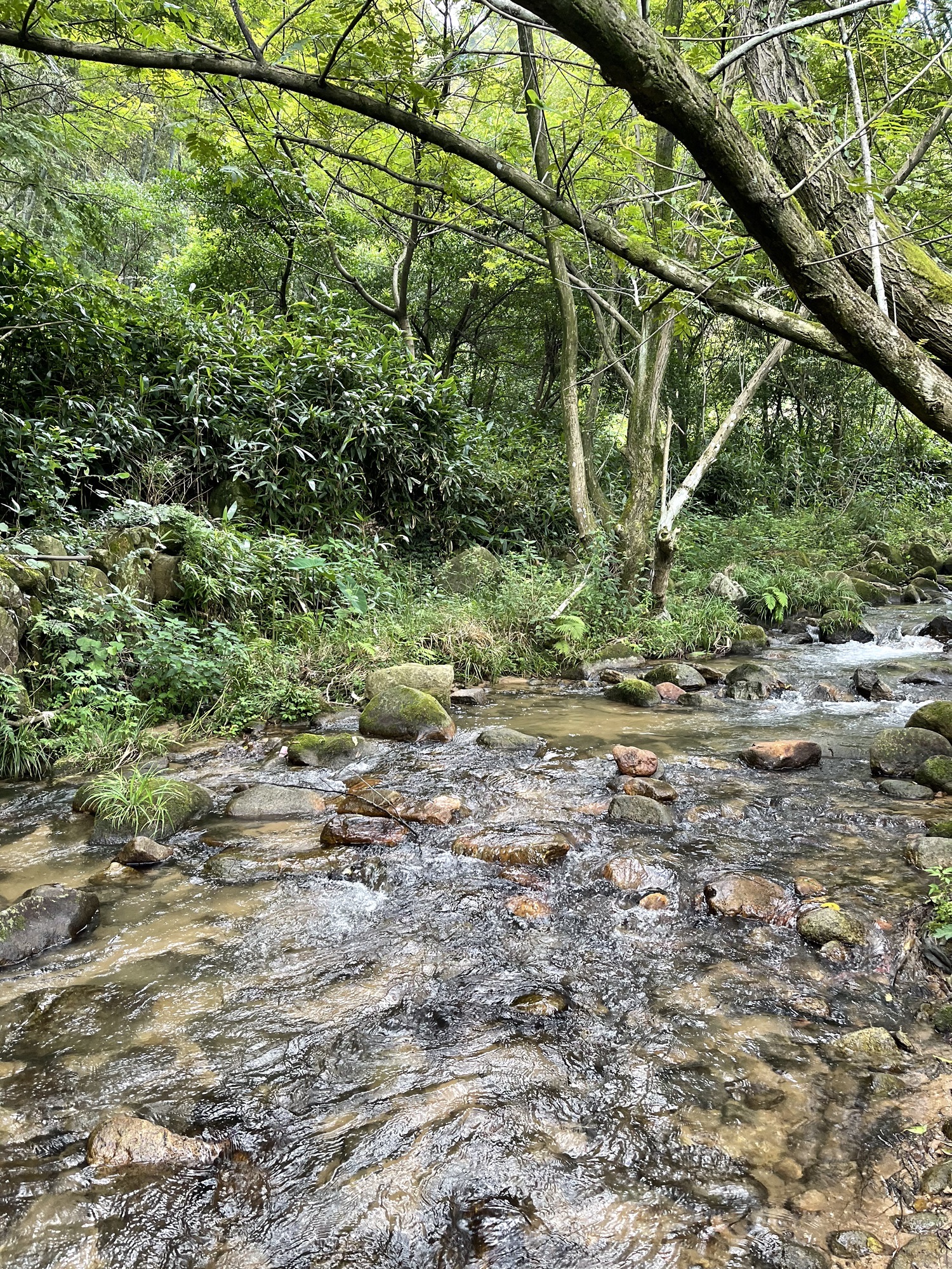 梅岭牧云峰旅行图片 3