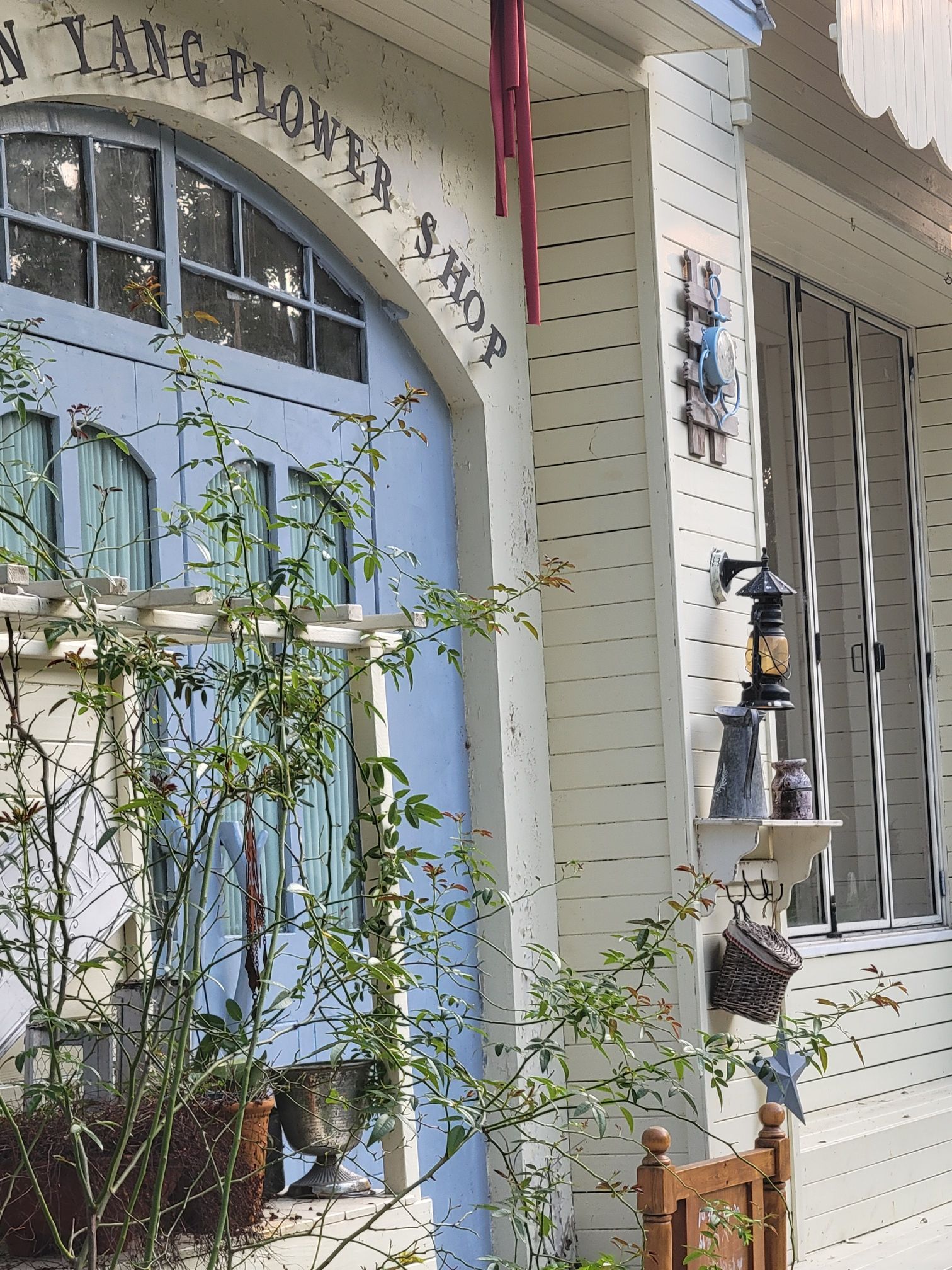 YEARN YANG小羊花店