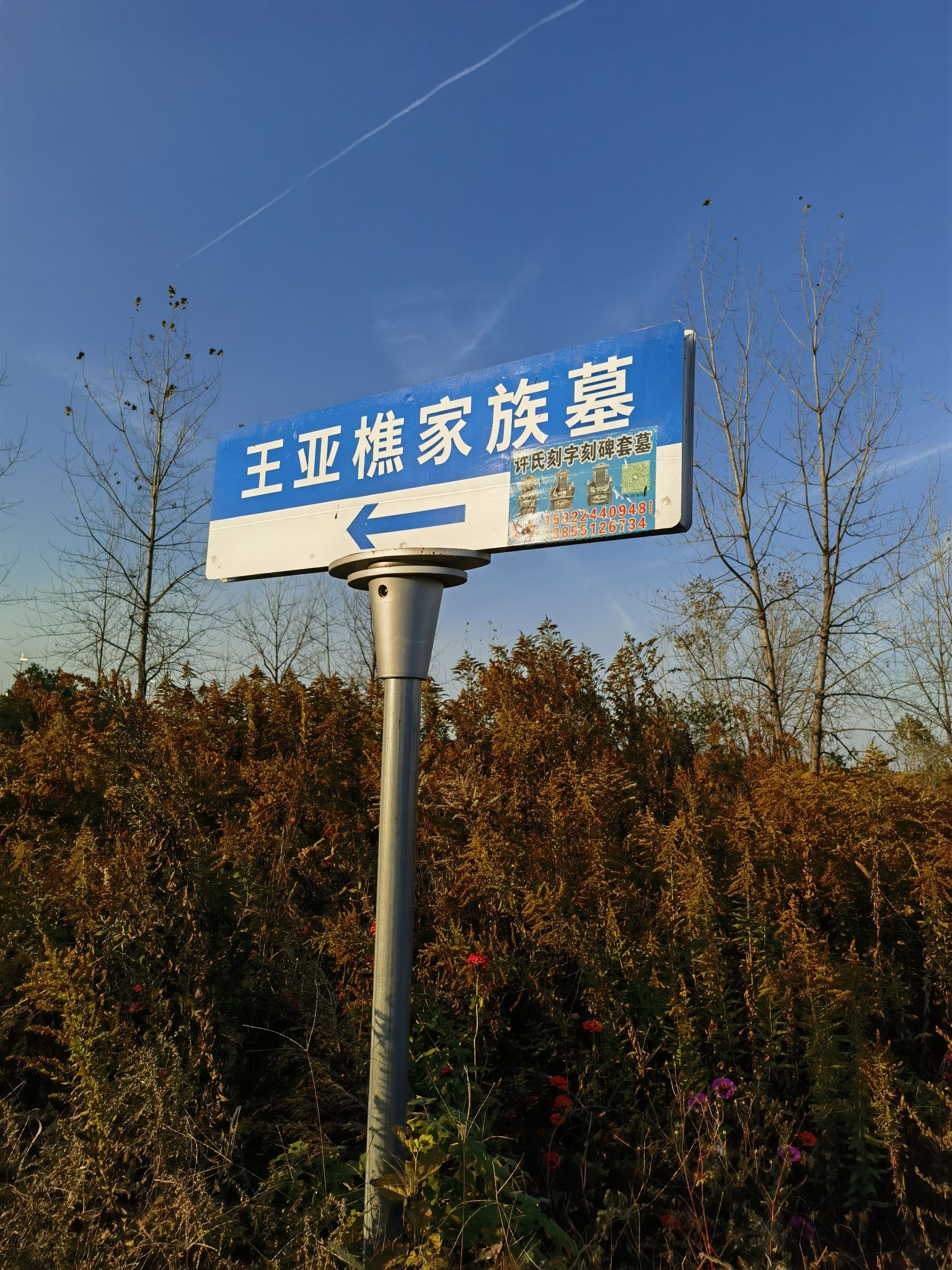 王亚樵墓旅行图片 3