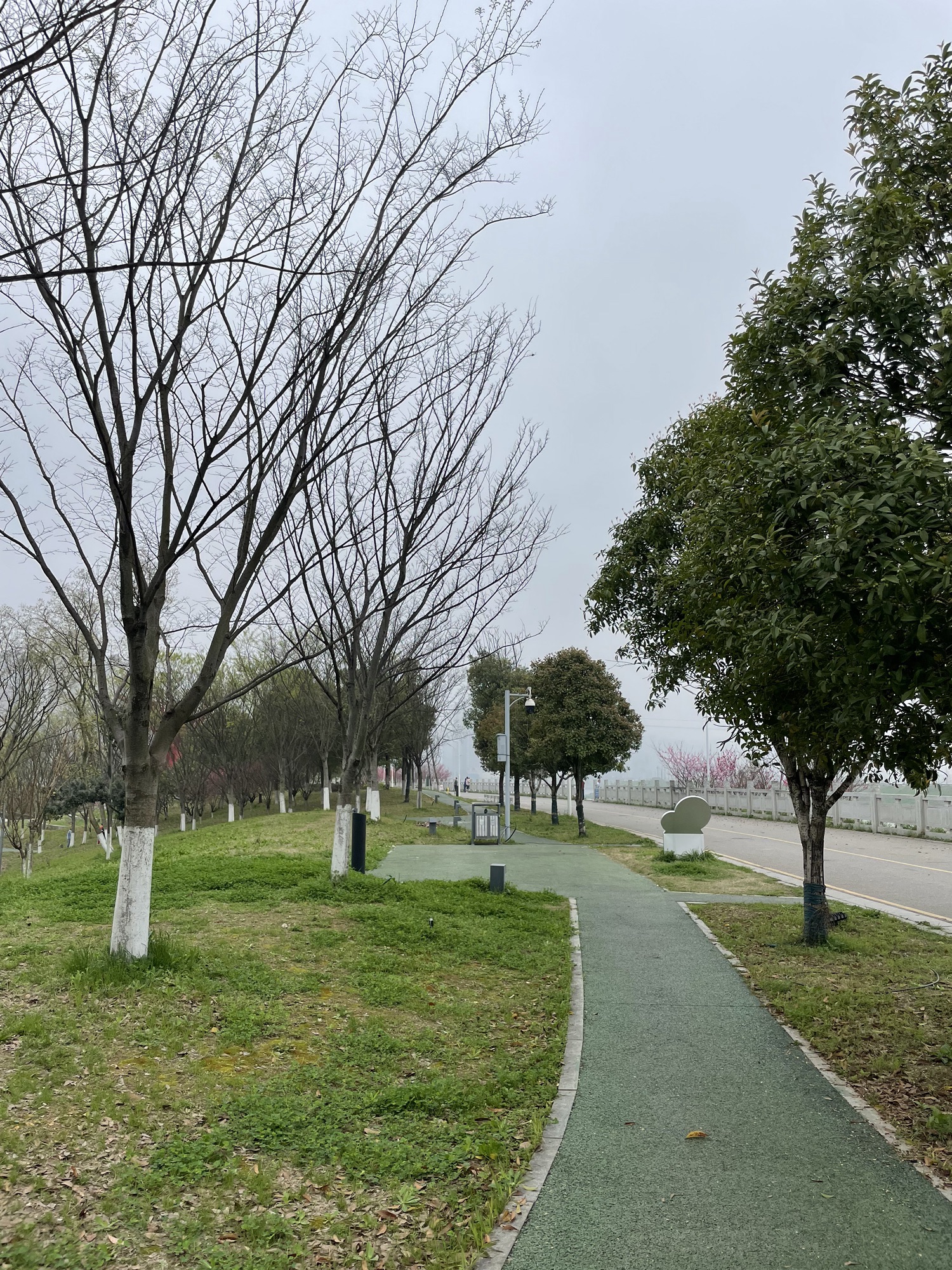 捞刀河滨水市民公园旅行图片 1