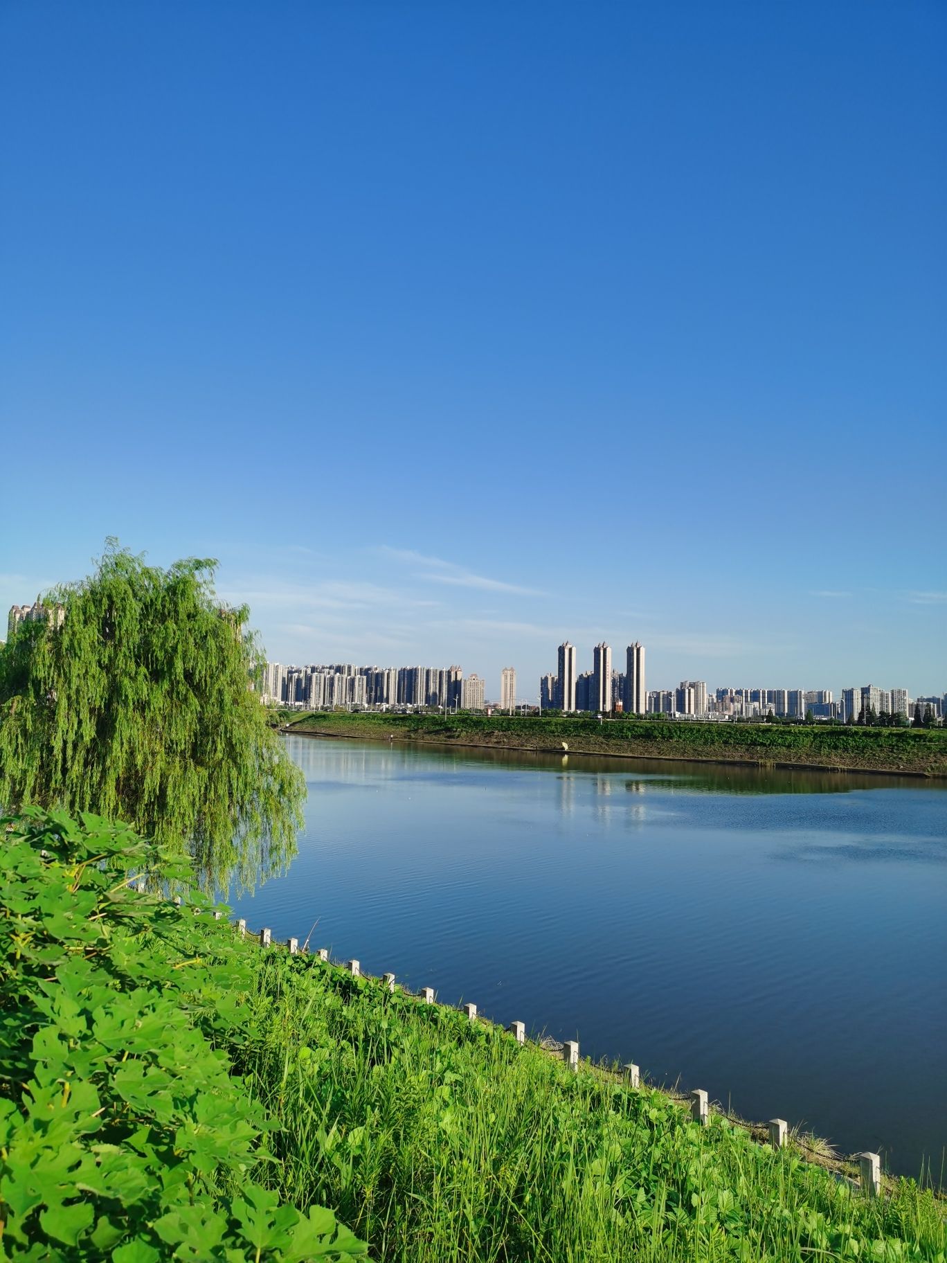 捞刀河滨水市民公园旅行图片 3