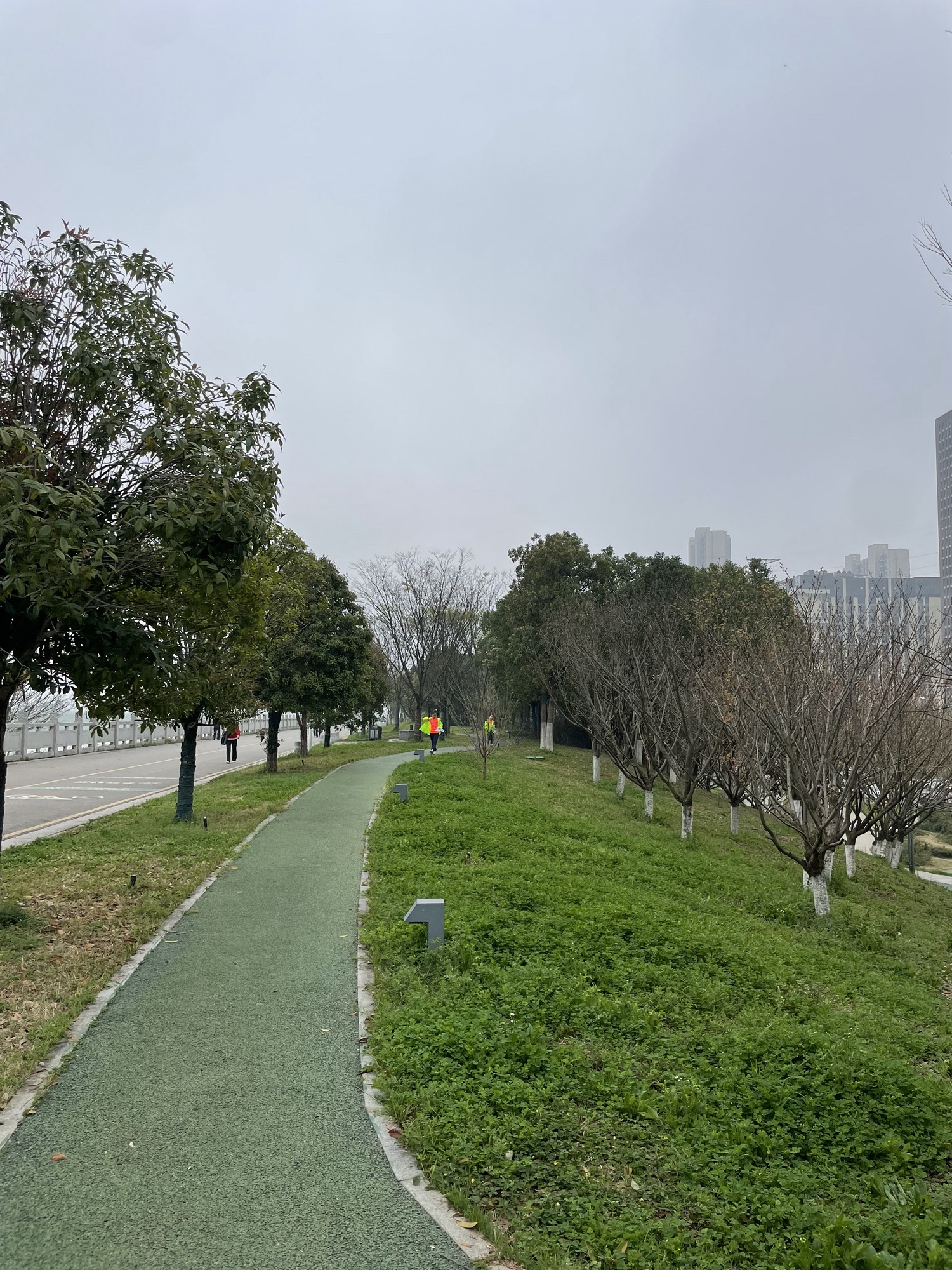 捞刀河滨水市民公园旅行图片 2