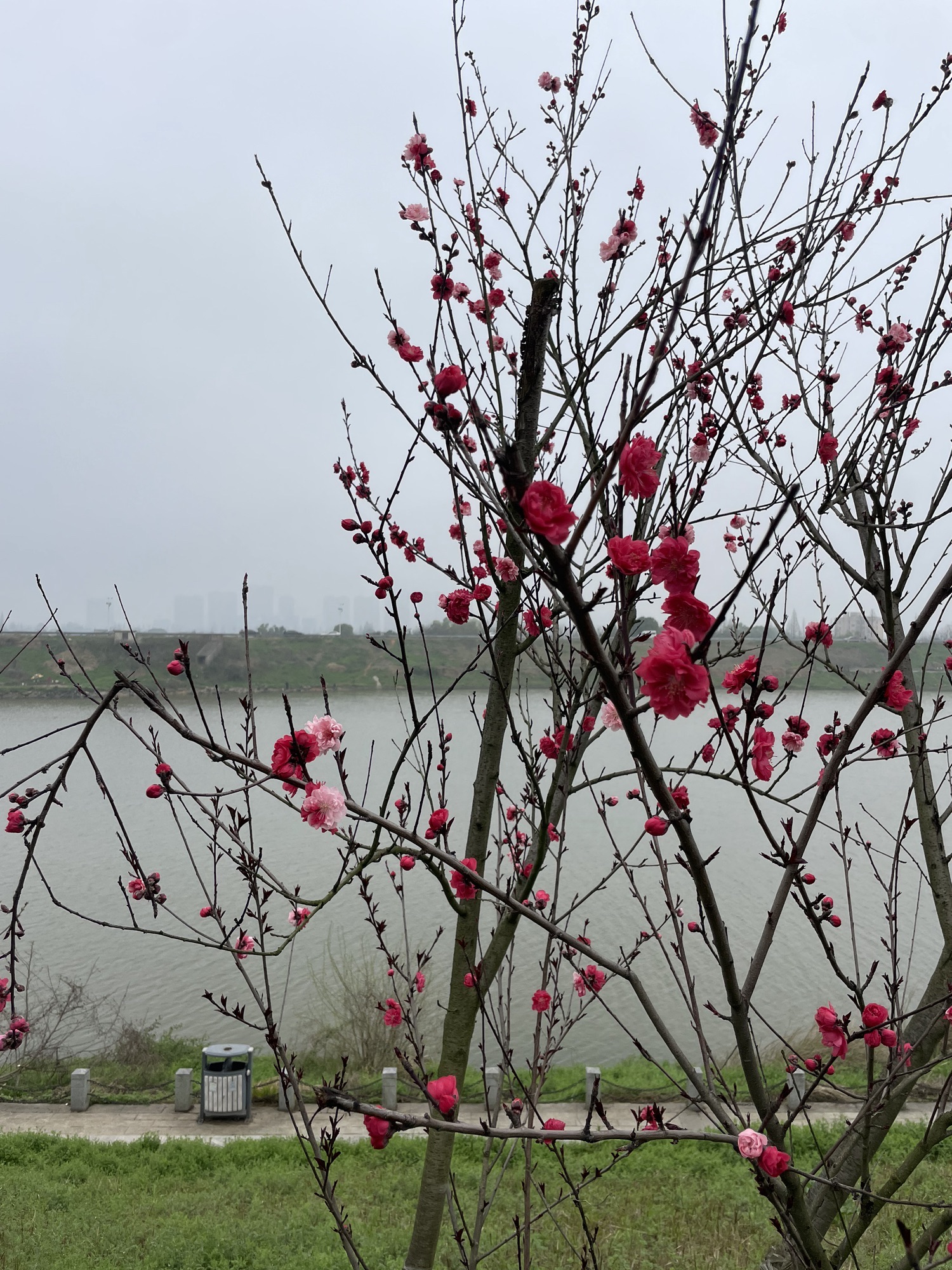 捞刀河滨水市民公园旅行图片 3