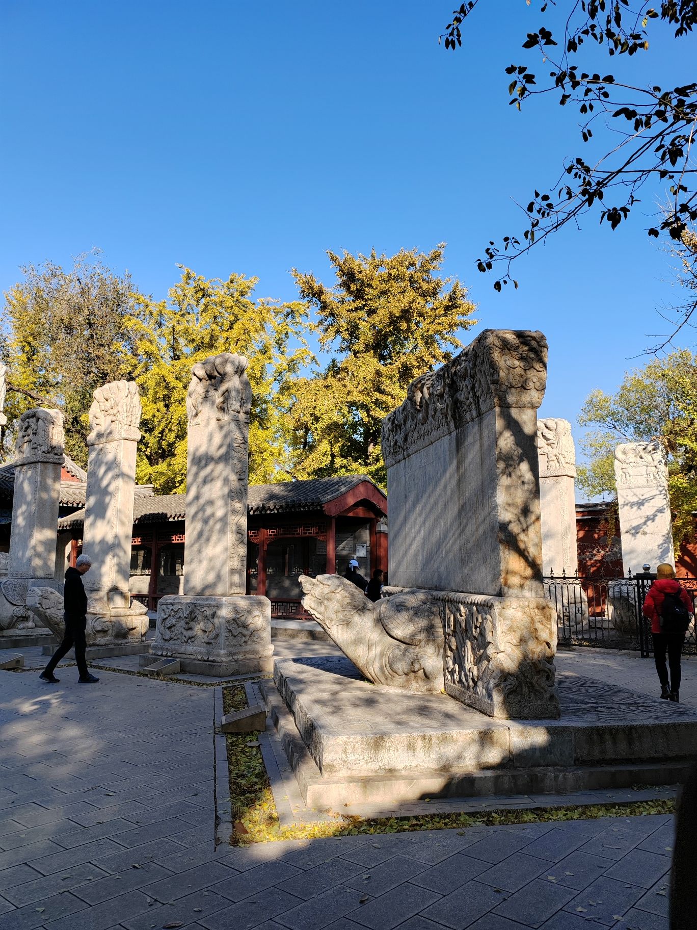 五塔寺公园旅行图片 3