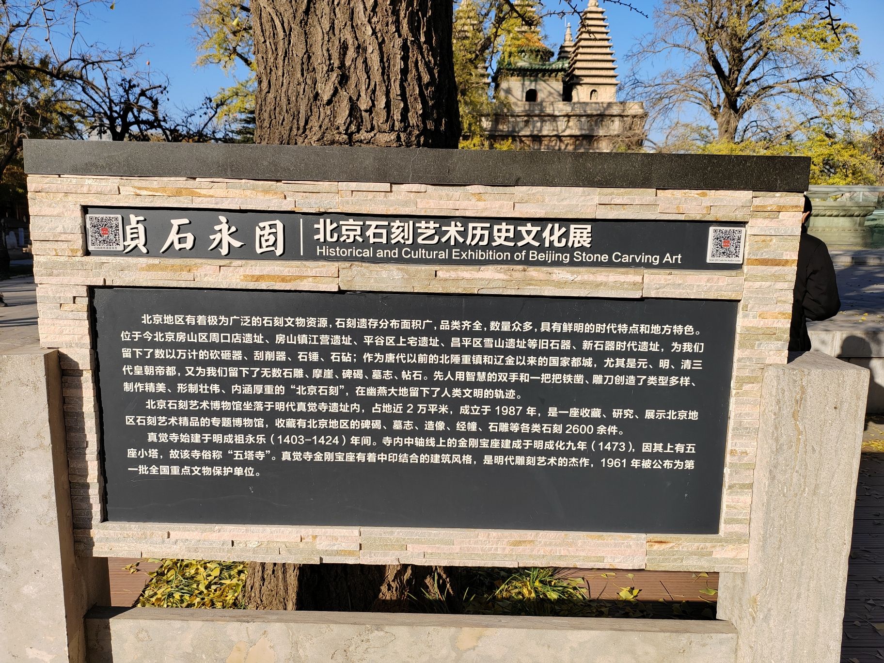 五塔寺公园旅行图片 1