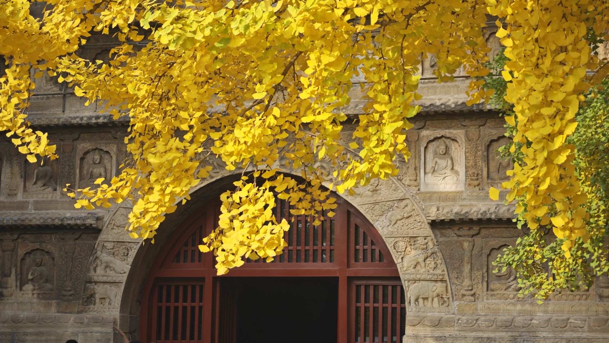 五塔寺公园旅行图片 3