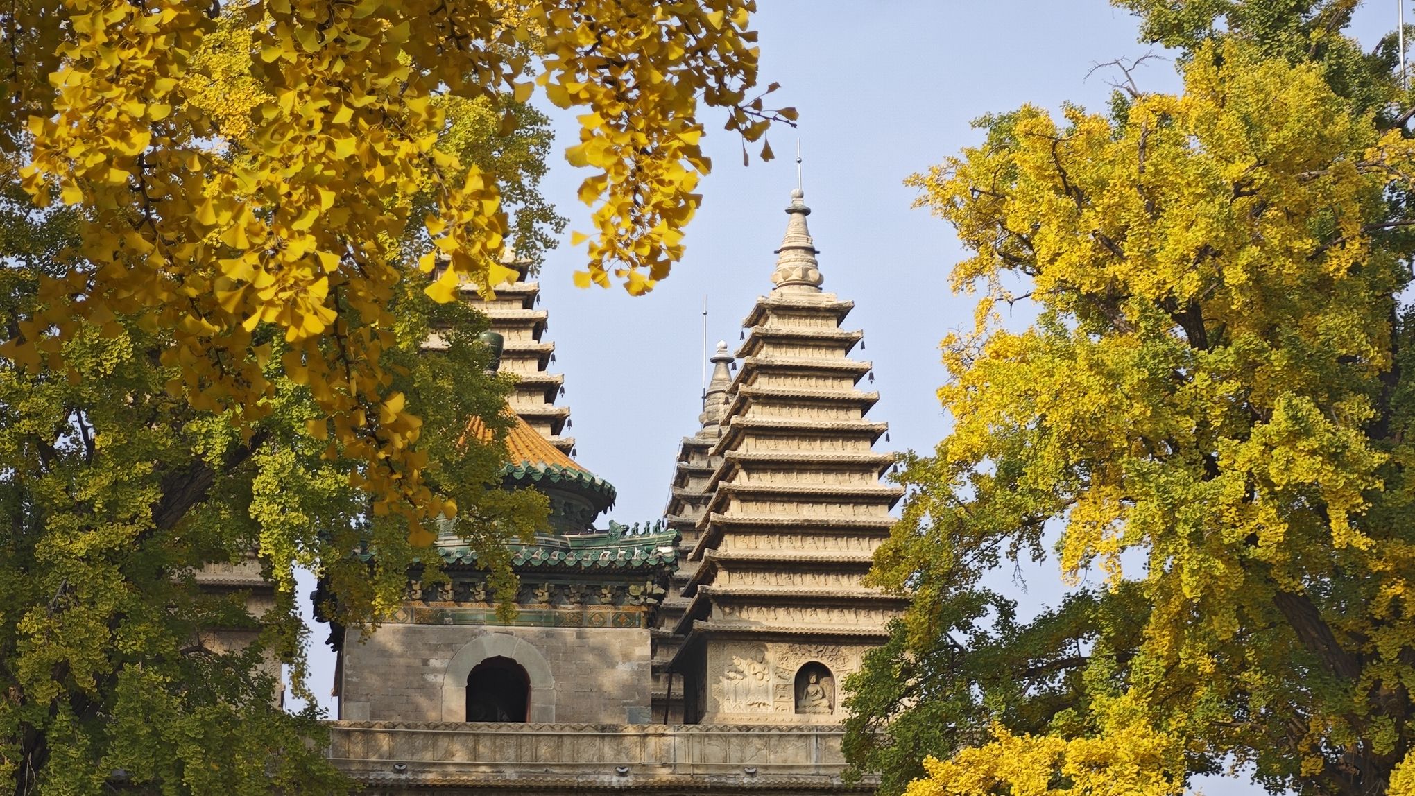 五塔寺公园旅行图片 1