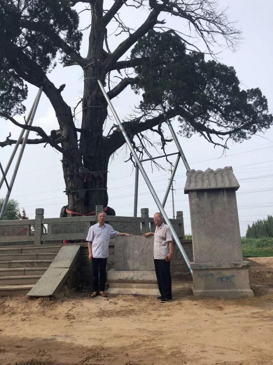 五样松旅行图片 3