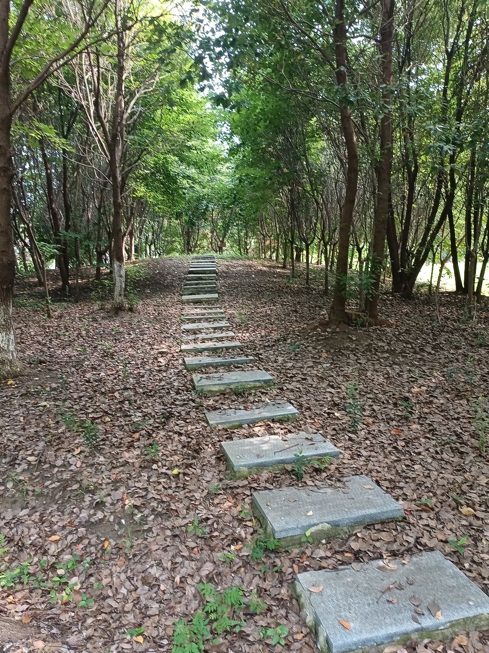 广洋湖镇文化公园旅行图片 3