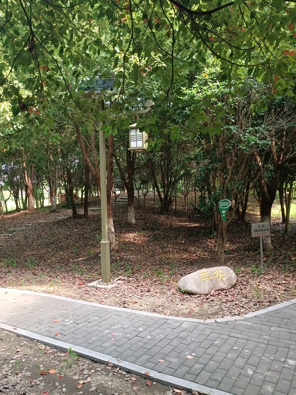 广洋湖镇文化公园旅行图片 2
