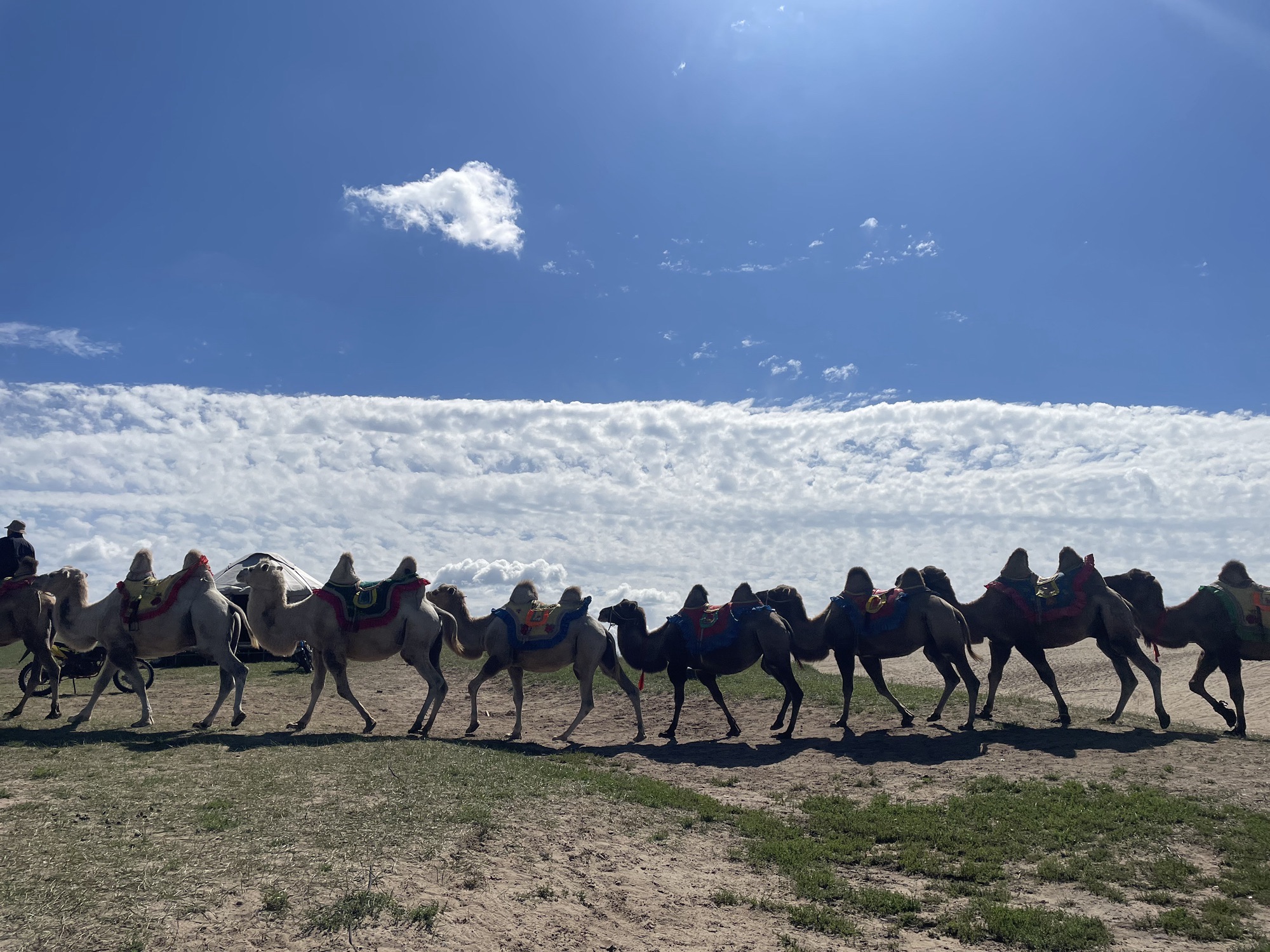 甘丹驼城游牧文化景区旅行图片 2