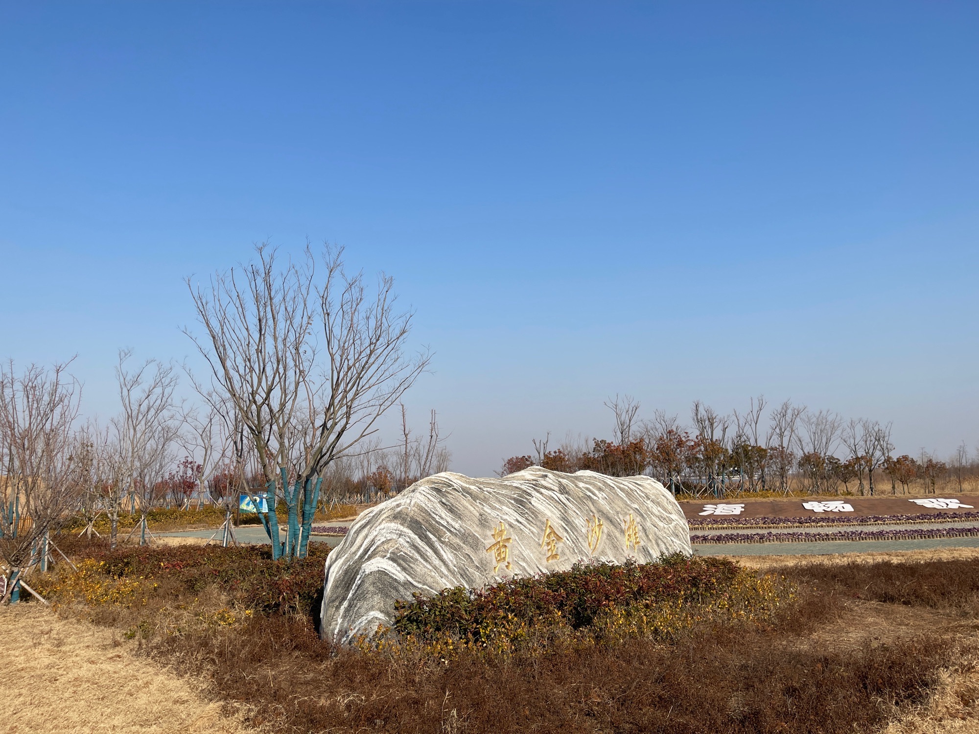 黄金沙滩旅行图片 1