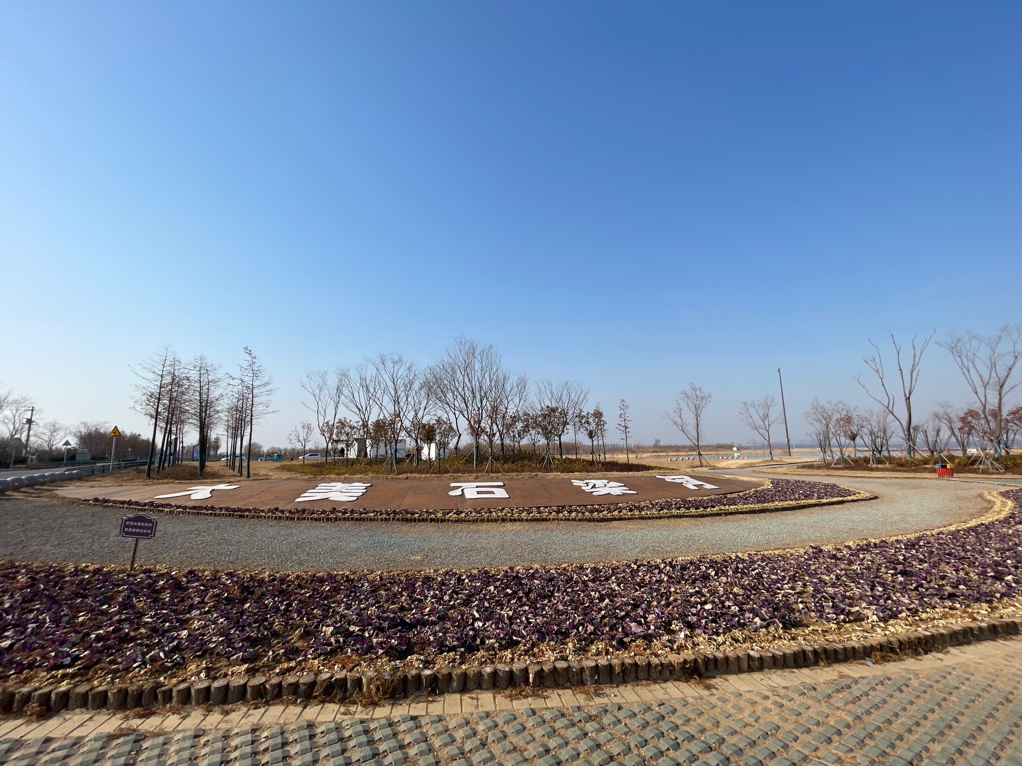 黄金沙滩旅行图片 2