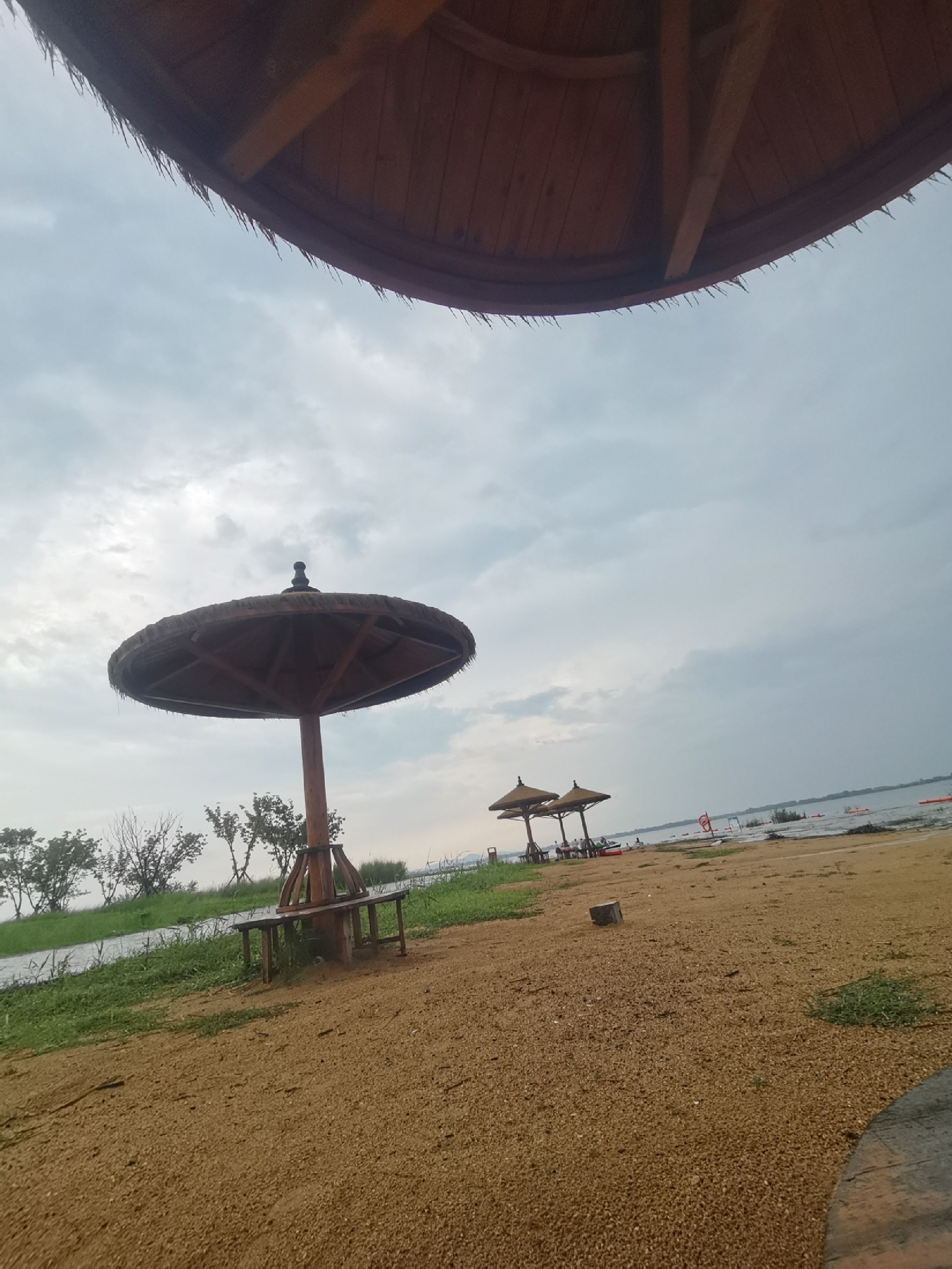 黄金沙滩旅行图片 1