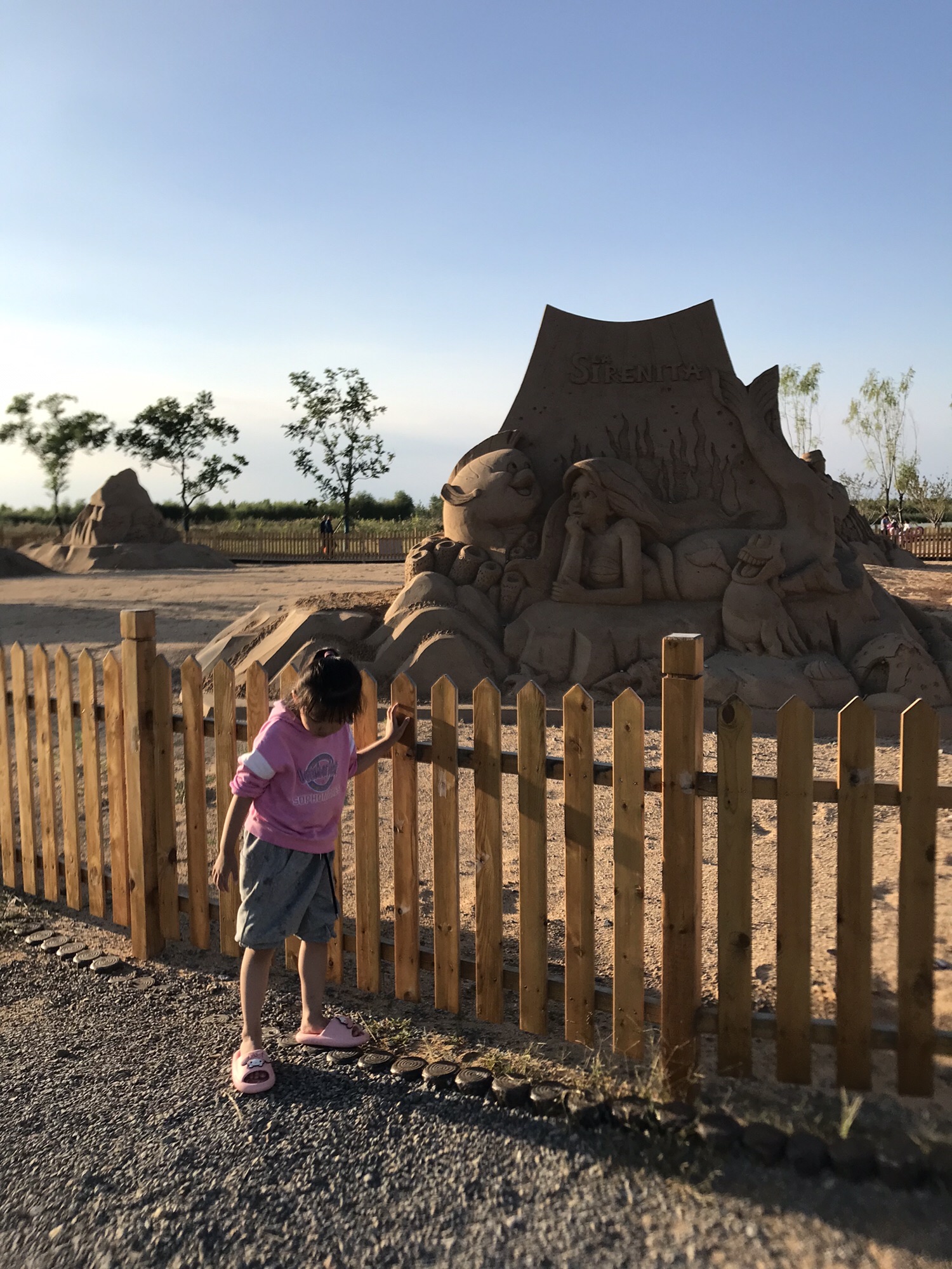 黄金沙滩旅行图片 1