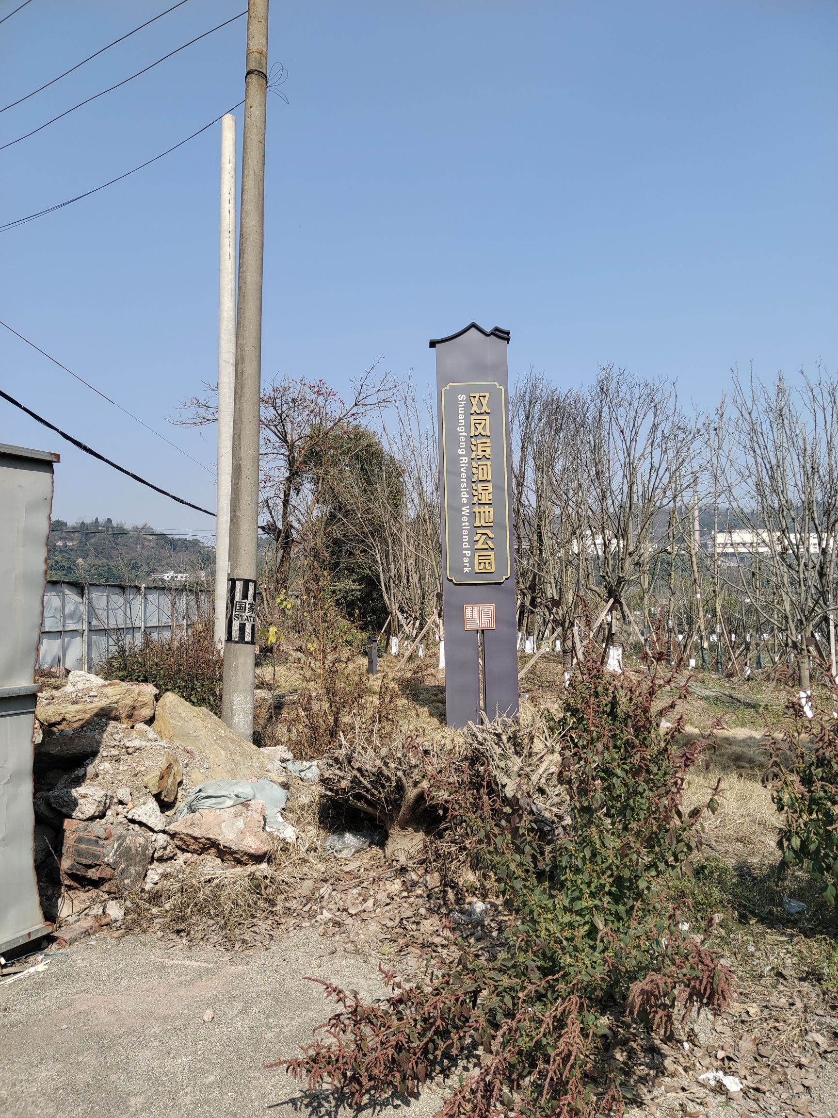 双凤滨河湿地公园旅行图片 2