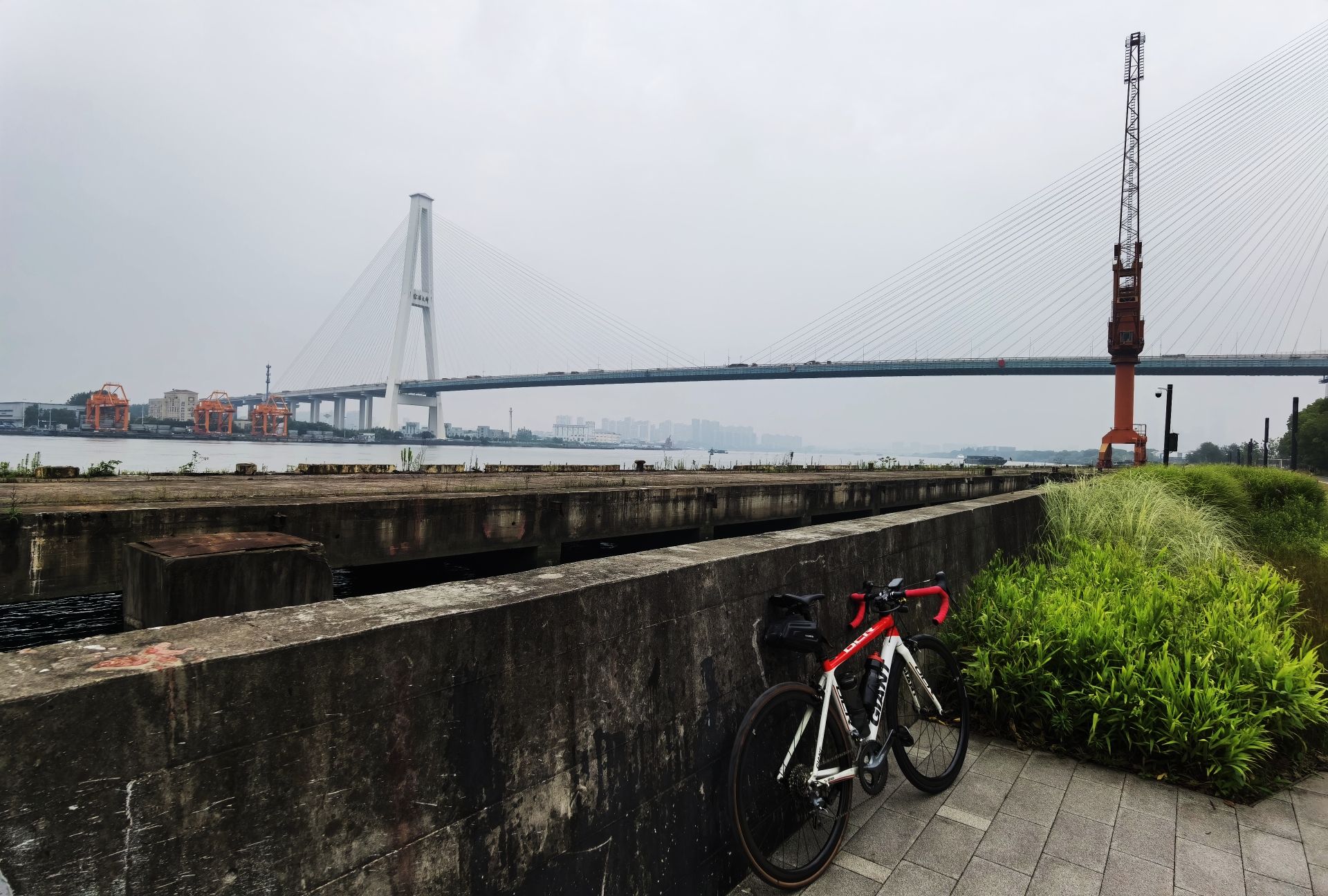 滨江骑行道-东岸南墙旅行图片 2