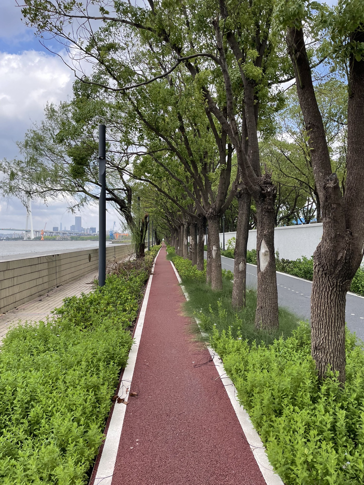 滨江骑行道-东岸南墙旅行图片 3