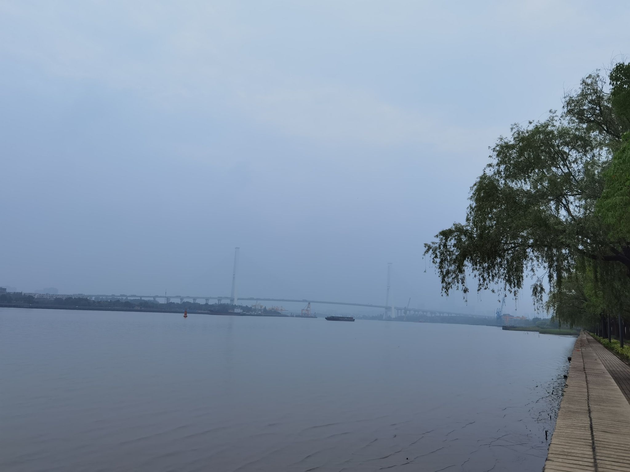 滨江骑行道-东岸南墙旅行图片 3