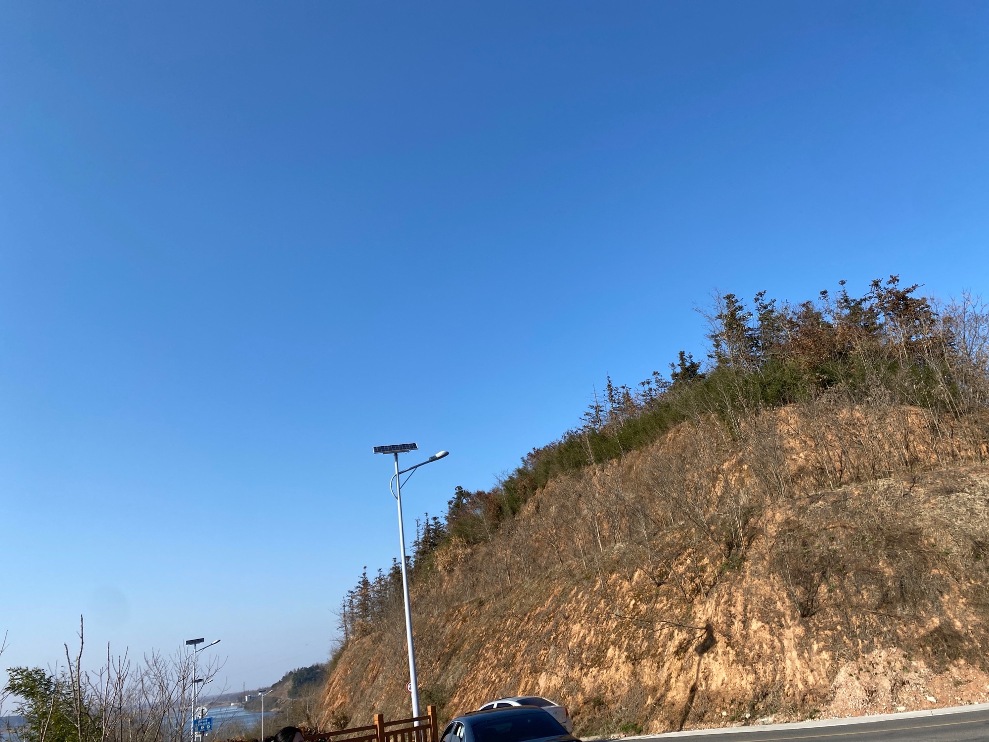 大别山湿地观景台旅行图片 3