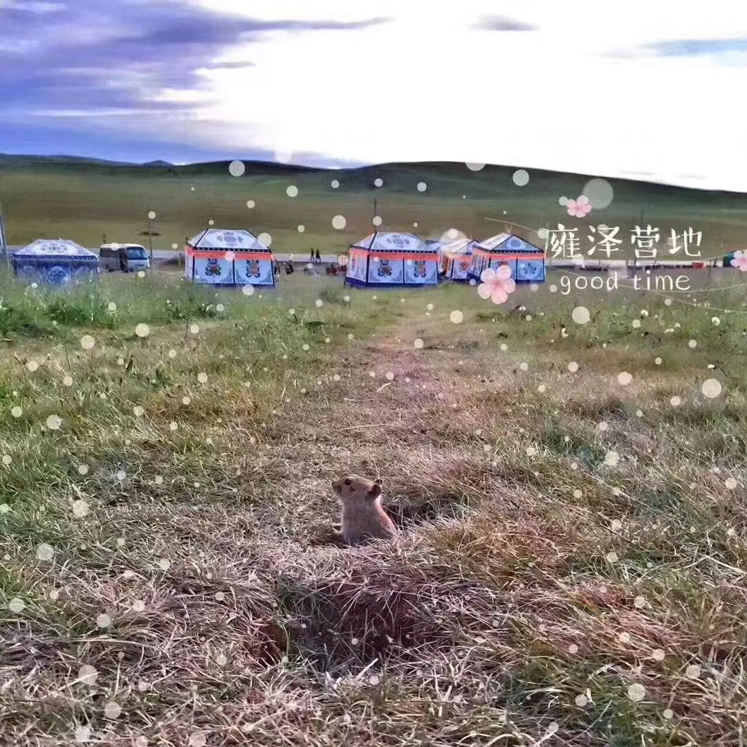 雍泽营地骑马场