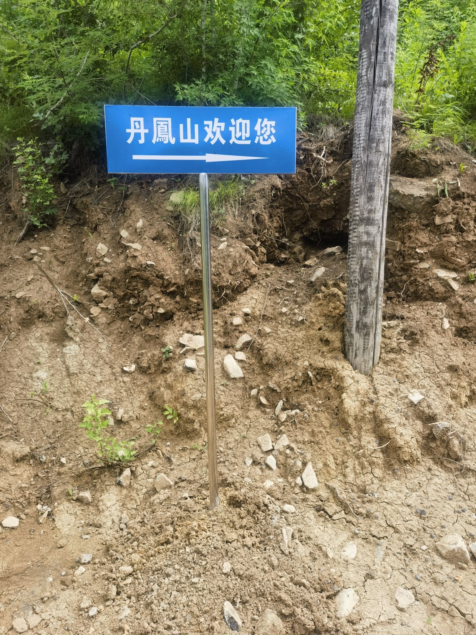 丹凤山旅行图片 2
