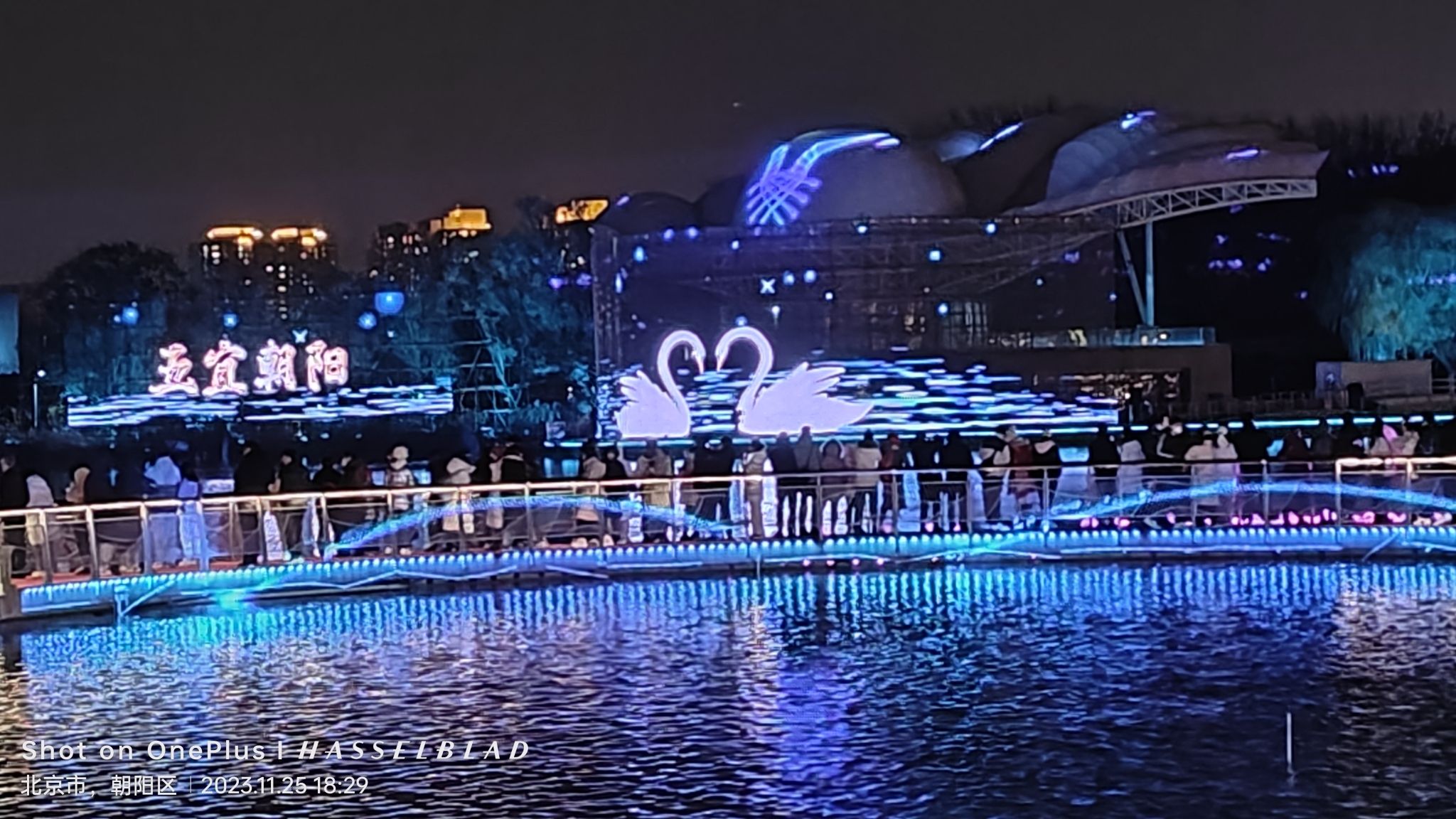 蓝港观鱼旅行图片 2