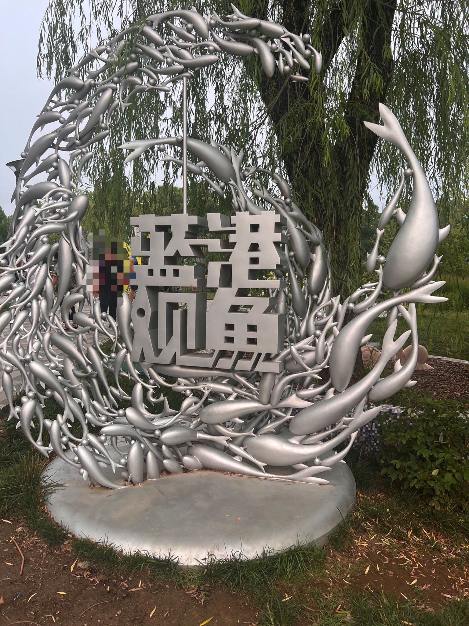 蓝港观鱼旅行图片 1