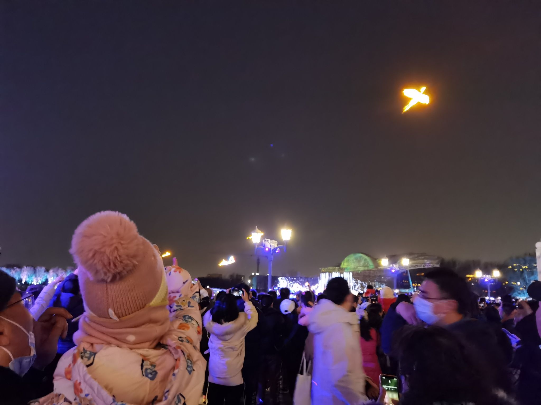 蓝港观鱼旅行图片 3